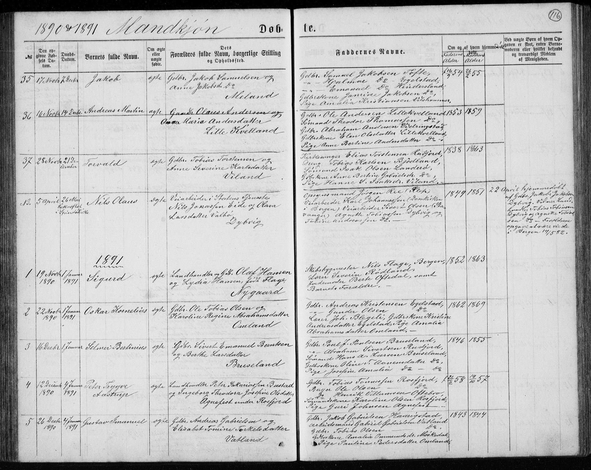 Lyngdal sokneprestkontor, AV/SAK-1111-0029/F/Fb/Fbc/L0004: Parish register (copy) no. B 4, 1878-1896, p. 116