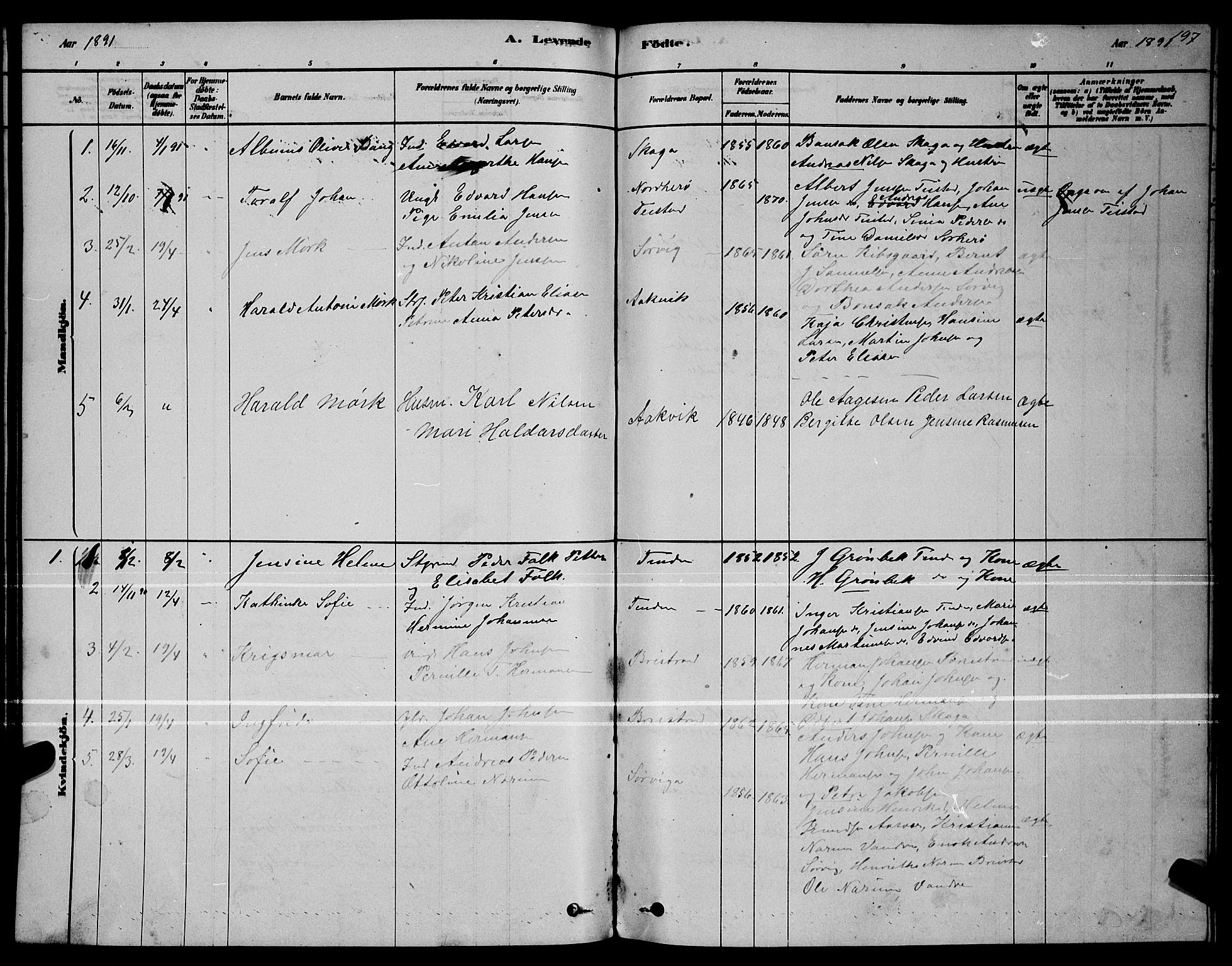 Ministerialprotokoller, klokkerbøker og fødselsregistre - Nordland, AV/SAT-A-1459/834/L0513: Parish register (copy) no. 834C04, 1877-1892, p. 197