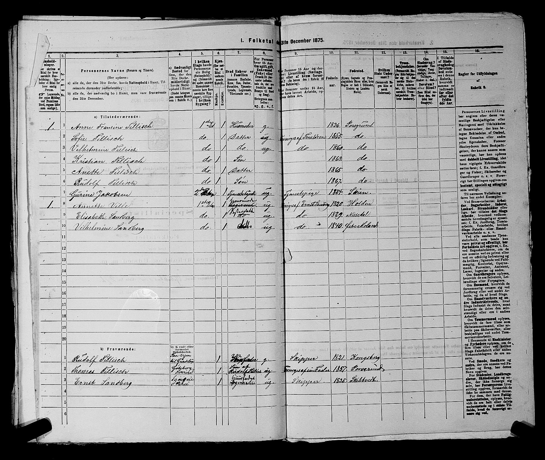 SAKO, 1875 census for 0805P Porsgrunn, 1875, p. 75