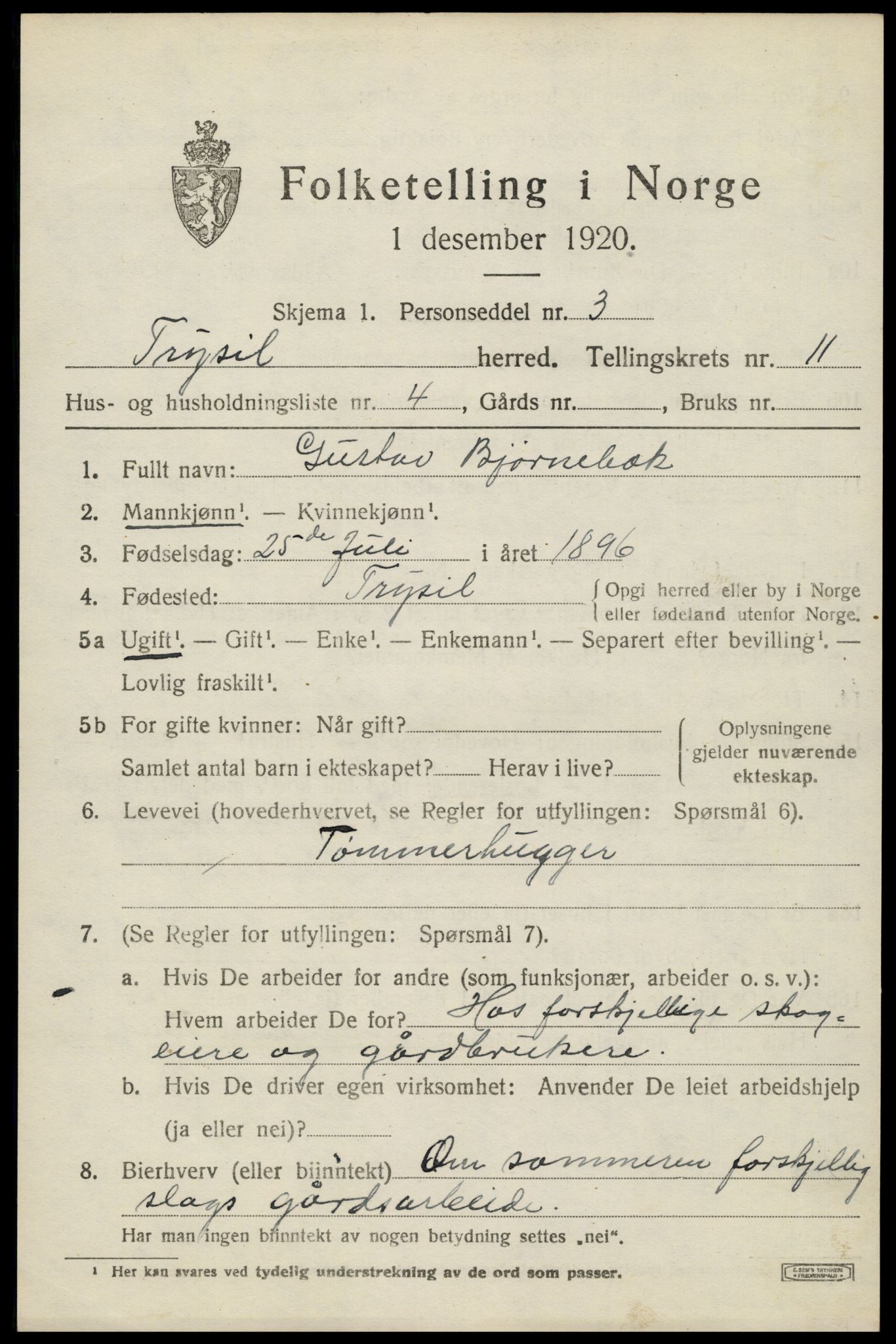 SAH, 1920 census for Trysil, 1920, p. 6999
