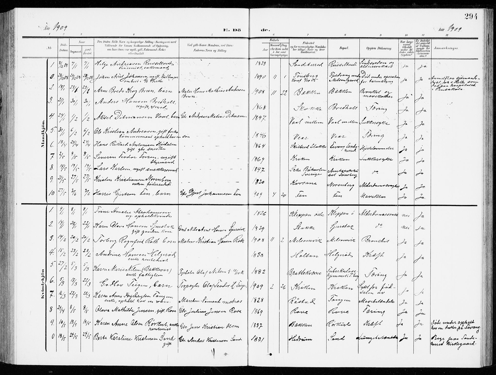 Stokke kirkebøker, SAKO/A-320/G/Ga/L0001: Parish register (copy) no. I 1, 1904-1940, p. 294