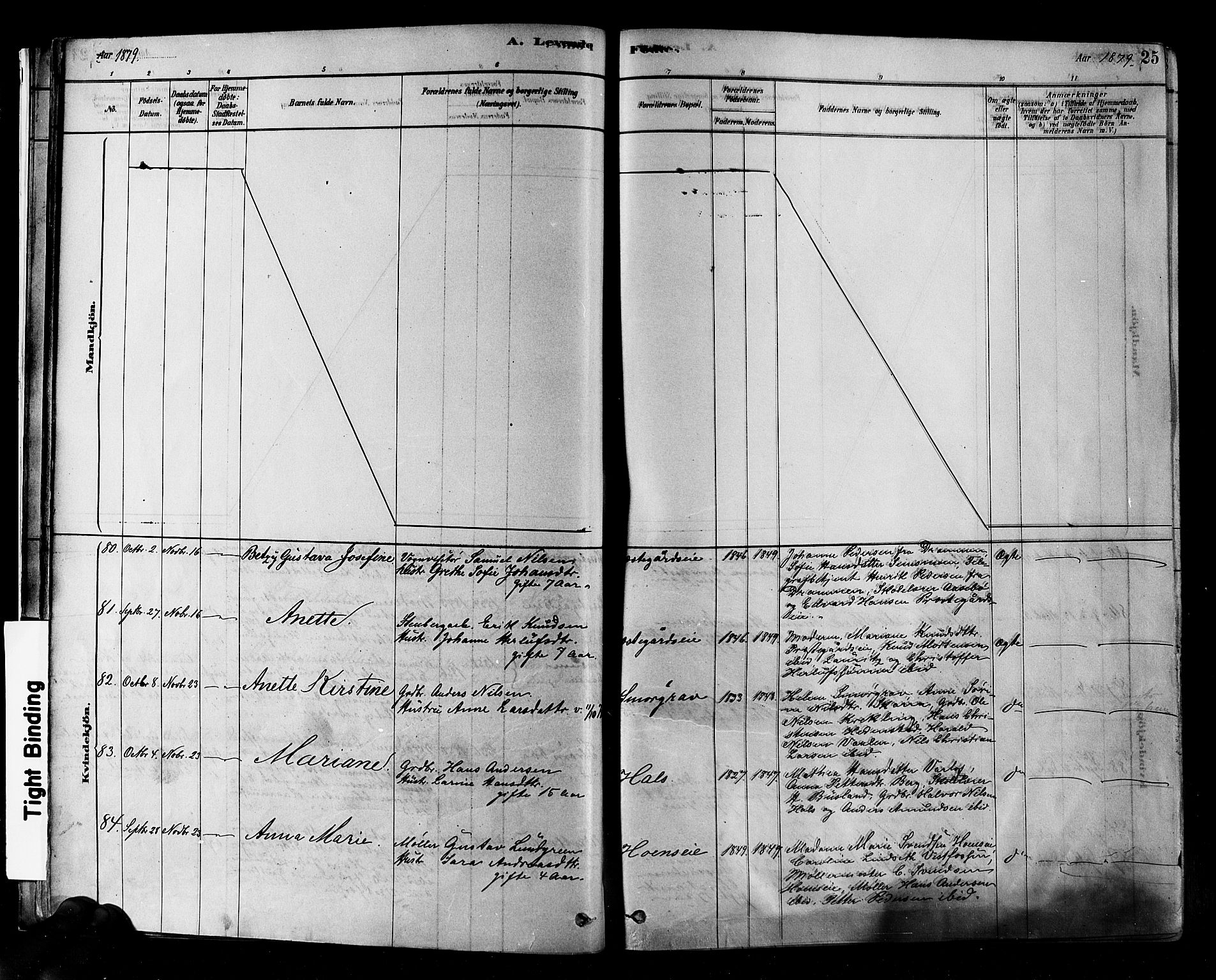 Eiker kirkebøker, AV/SAKO-A-4/F/Fb/L0001: Parish register (official) no. II 1, 1878-1888, p. 25