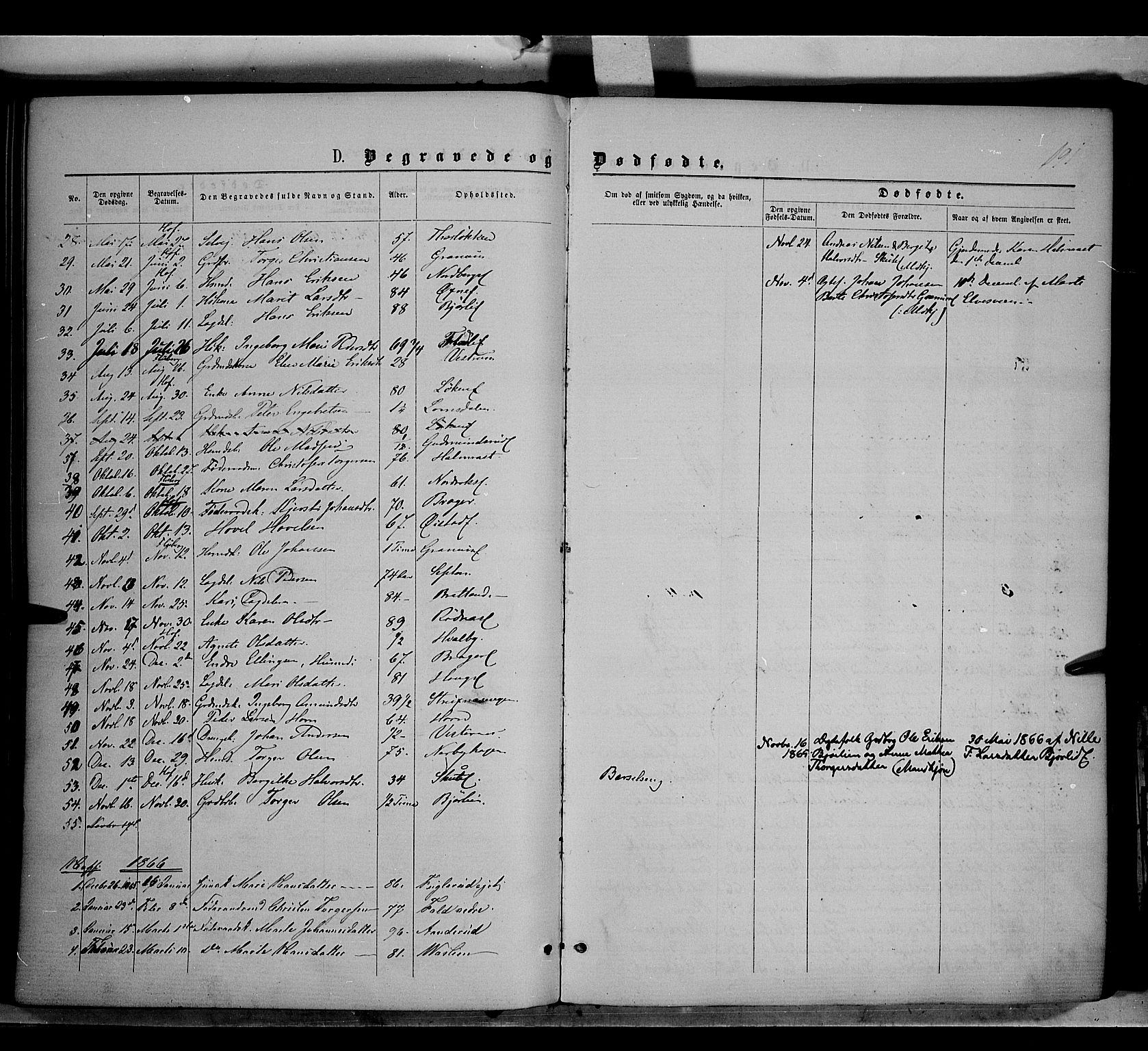 Søndre Land prestekontor, AV/SAH-PREST-122/K/L0001: Parish register (official) no. 1, 1860-1877, p. 191