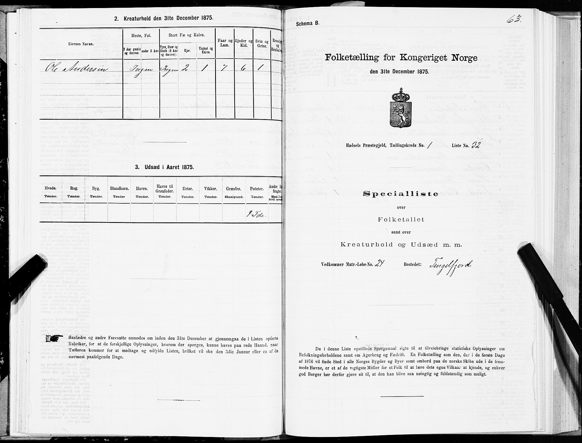 SAT, 1875 census for 1866P Hadsel, 1875, p. 1063