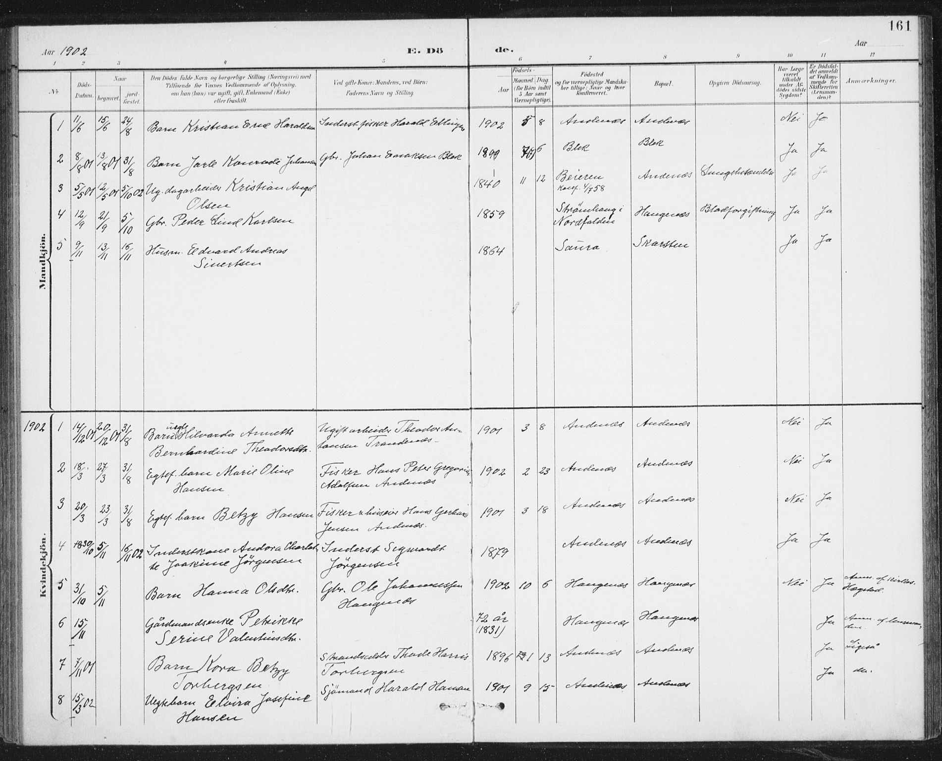 Ministerialprotokoller, klokkerbøker og fødselsregistre - Nordland, SAT/A-1459/899/L1437: Parish register (official) no. 899A05, 1897-1908, p. 161