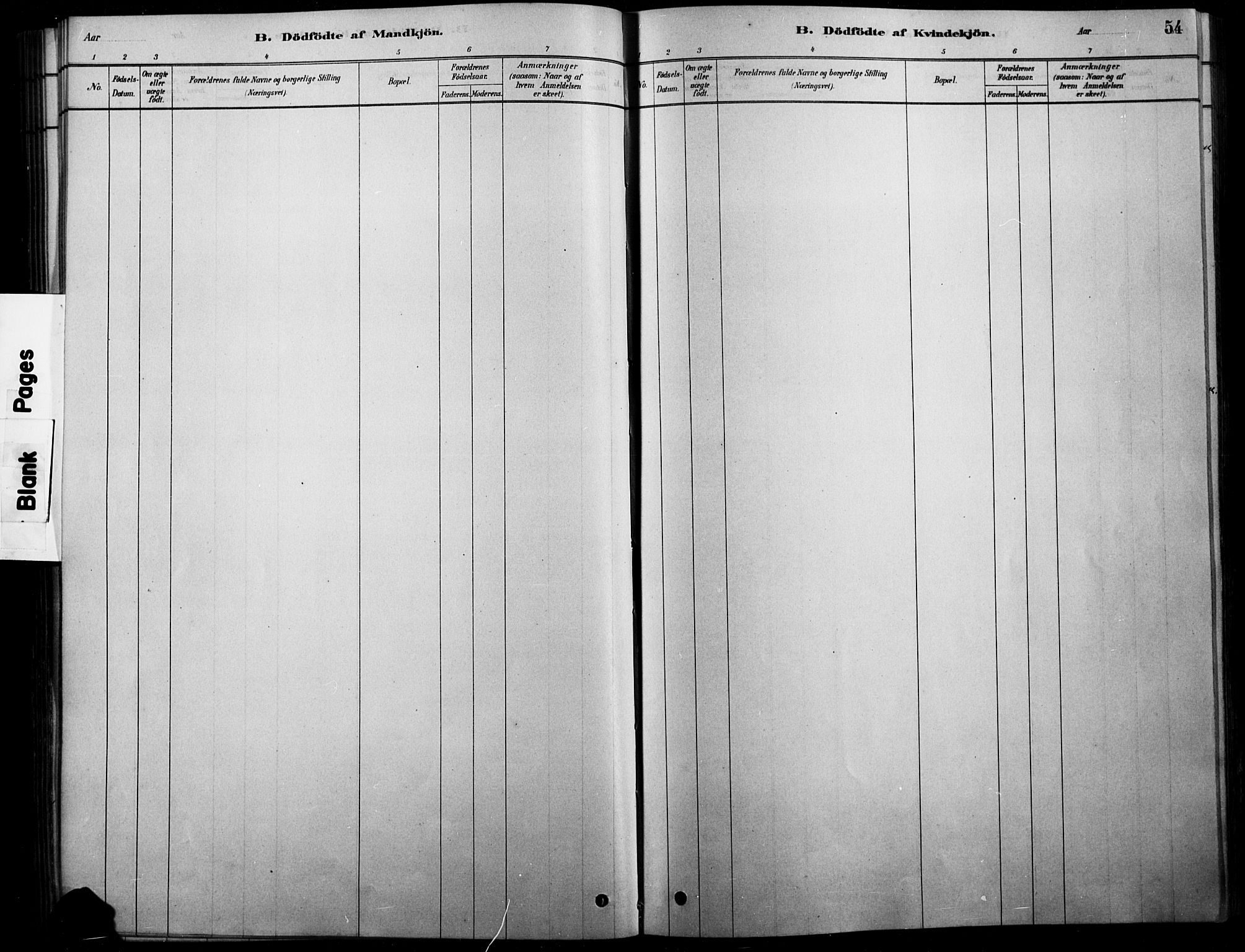 Tolga prestekontor, SAH/PREST-062/L/L0007: Parish register (copy) no. 7, 1878-1919, p. 54