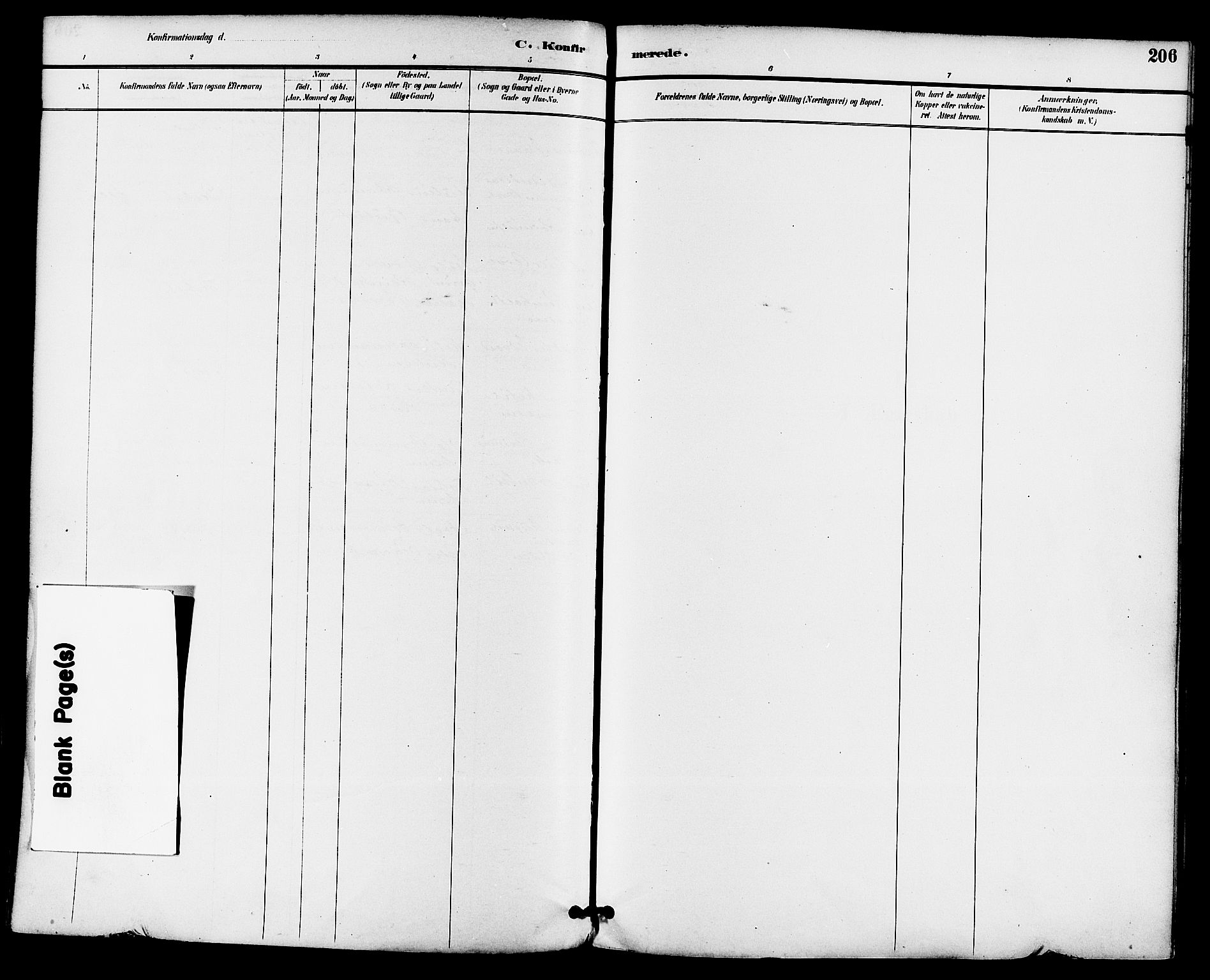 Gjerpen kirkebøker, SAKO/A-265/F/Fa/L0010: Parish register (official) no. I 10, 1886-1895, p. 206