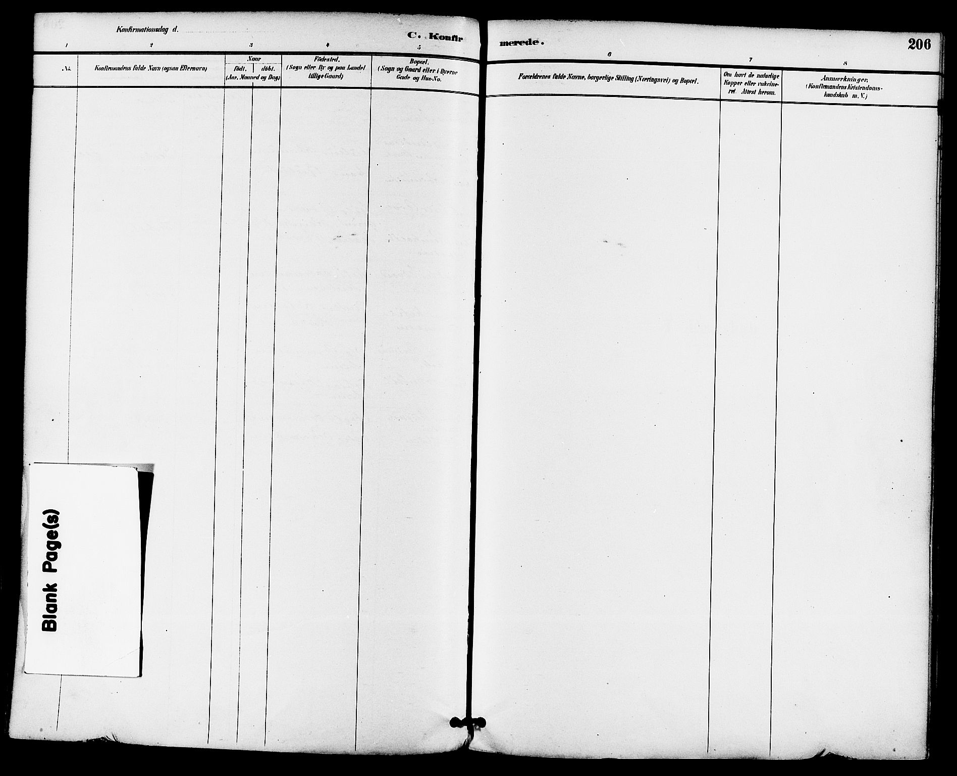 Gjerpen kirkebøker, AV/SAKO-A-265/F/Fa/L0010: Parish register (official) no. I 10, 1886-1895, p. 206