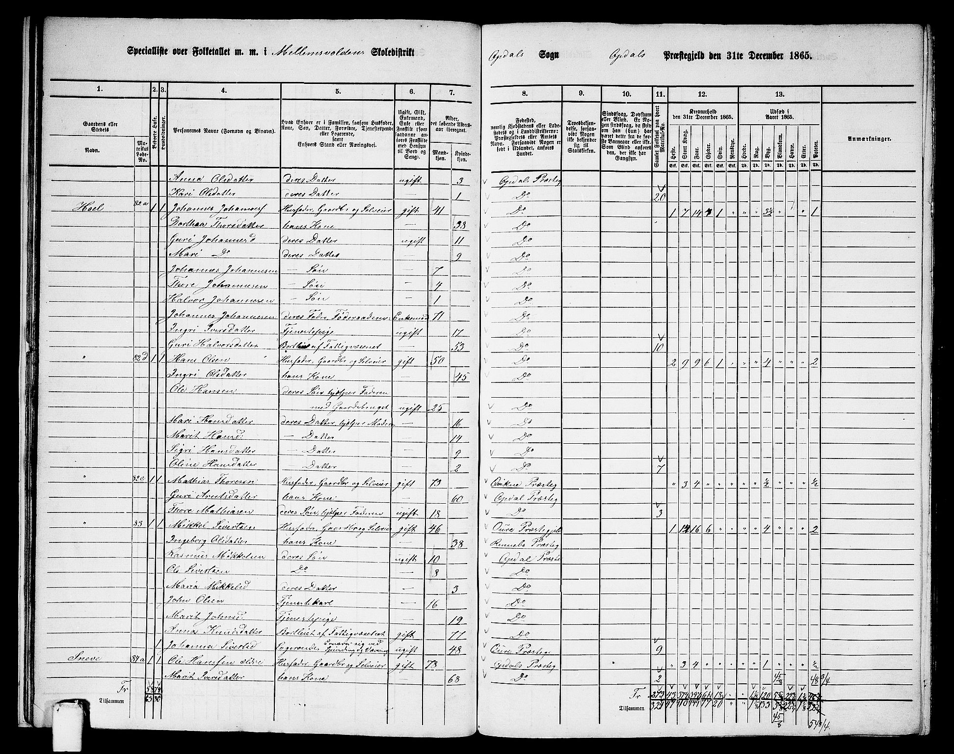 RA, 1865 census for Oppdal, 1865, p. 25