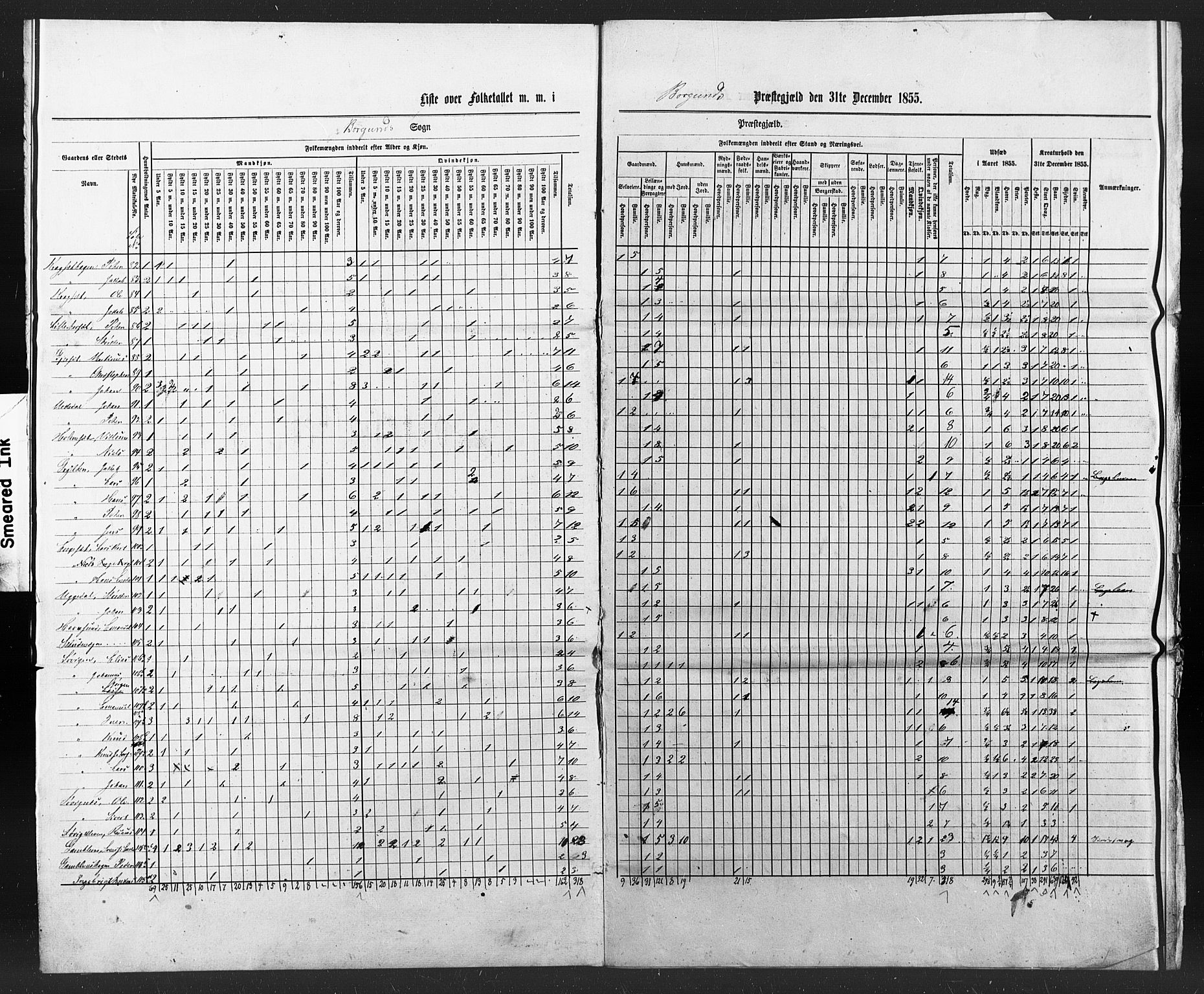 SAT, Census 1855 for Borgund, 1855, p. 47