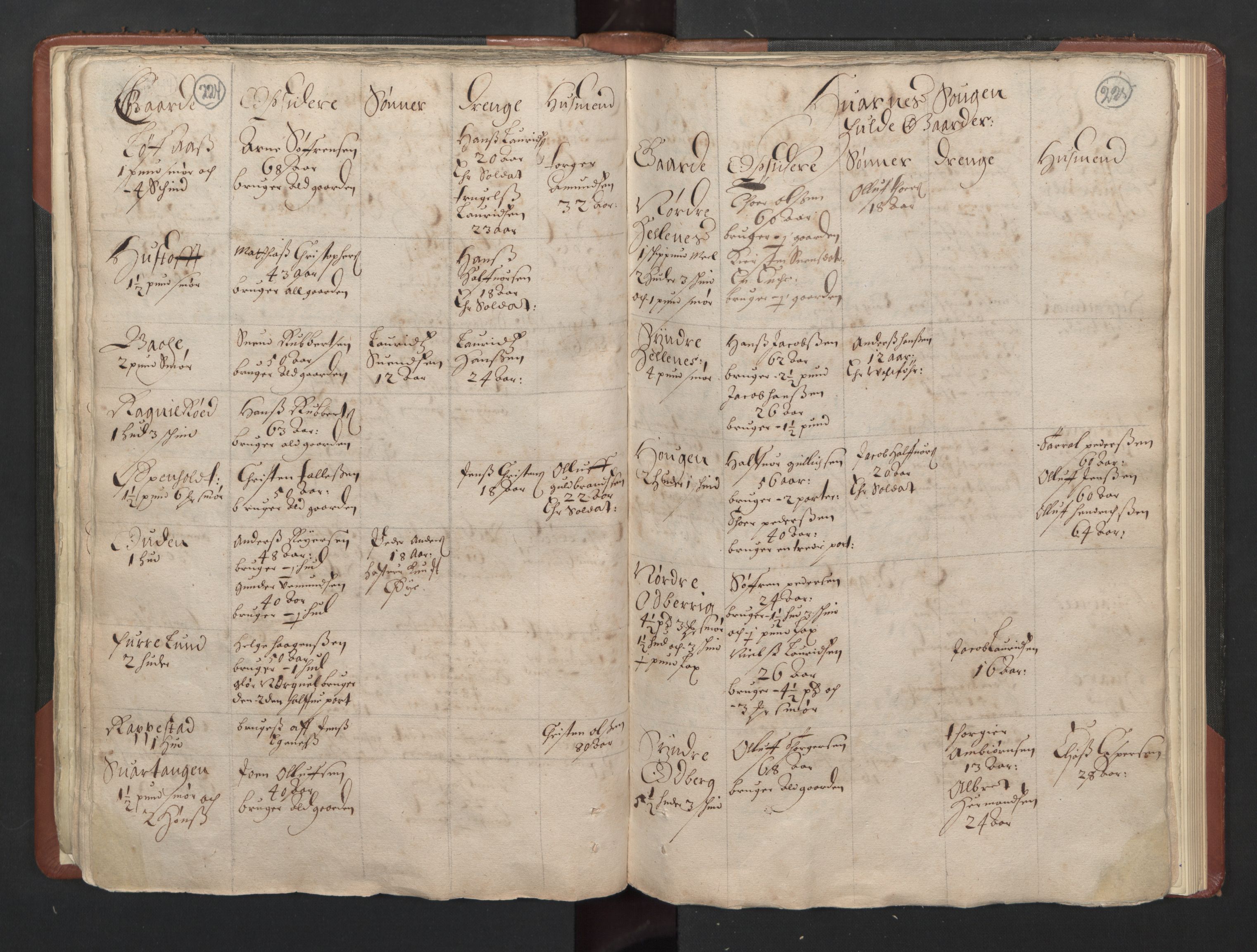 RA, Bailiff's Census 1664-1666, no. 5: Modern Buskerud county and modern Vestfold county, 1664, p. 224-225