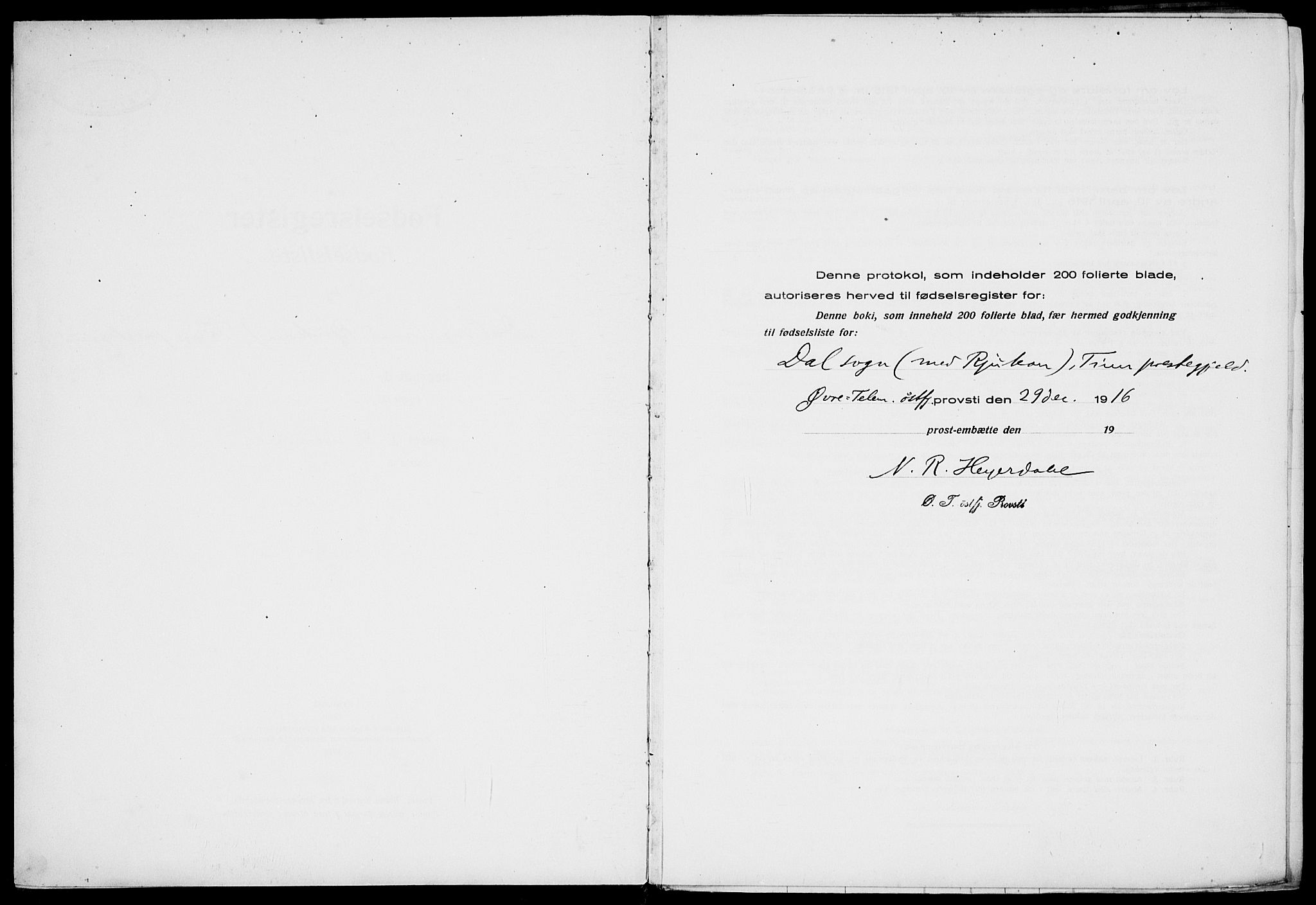 Rjukan kirkebøker, SAKO/A-294/J/Ja/L0001: Birth register no. 1, 1916-1922