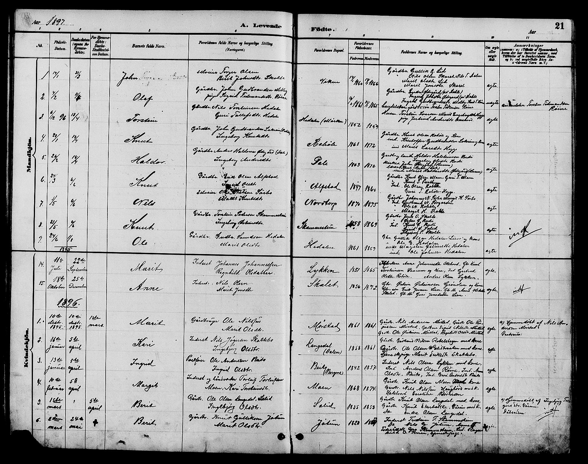 Øystre Slidre prestekontor, AV/SAH-PREST-138/H/Ha/Hab/L0004: Parish register (copy) no. 4, 1887-1907, p. 21