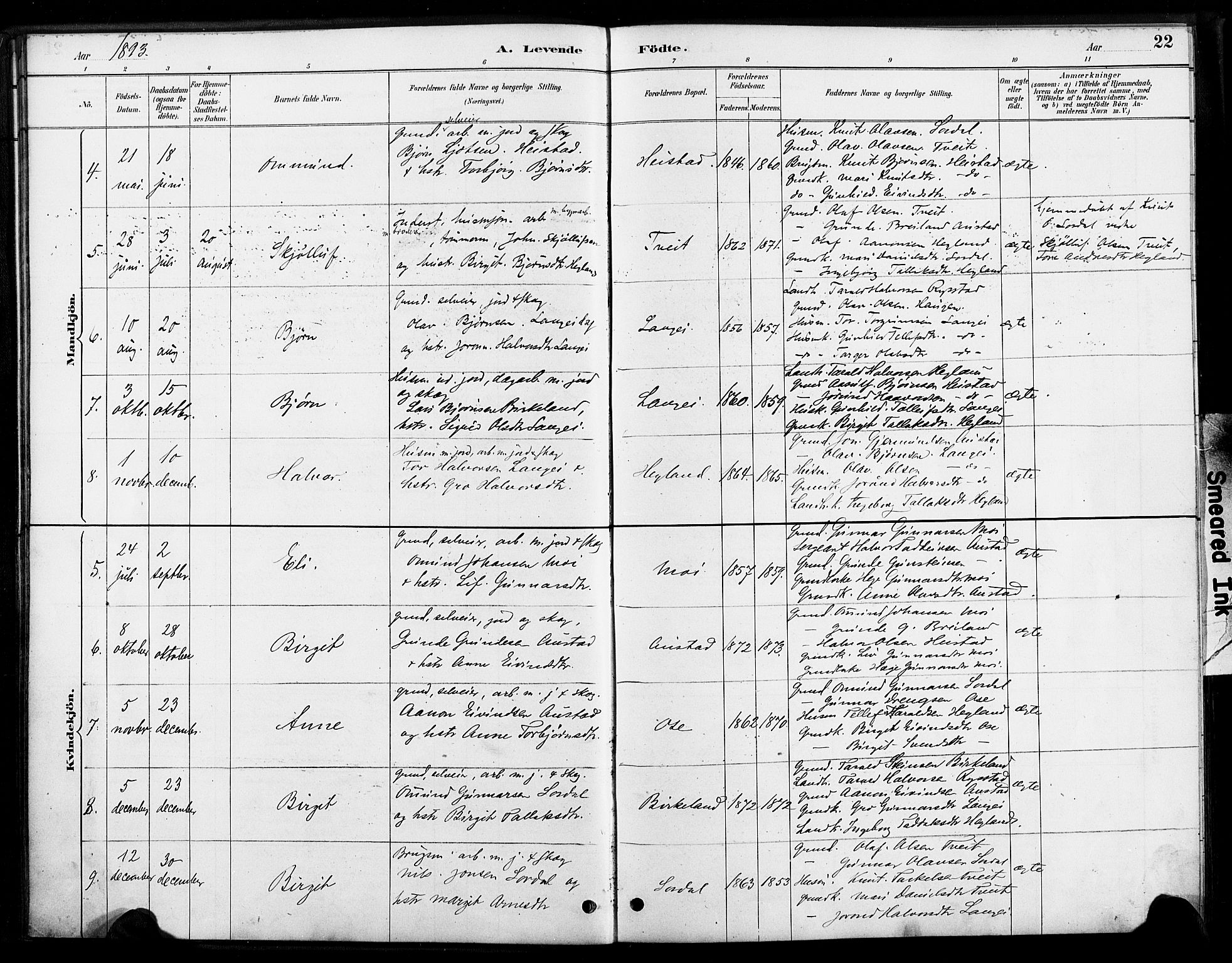 Bygland sokneprestkontor, SAK/1111-0006/F/Fa/Faa/L0001: Parish register (official) no. A 1, 1885-1908, p. 22