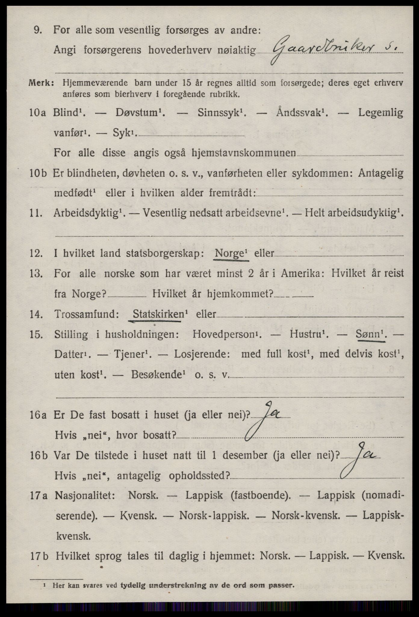 SAT, 1920 census for Børsa, 1920, p. 740