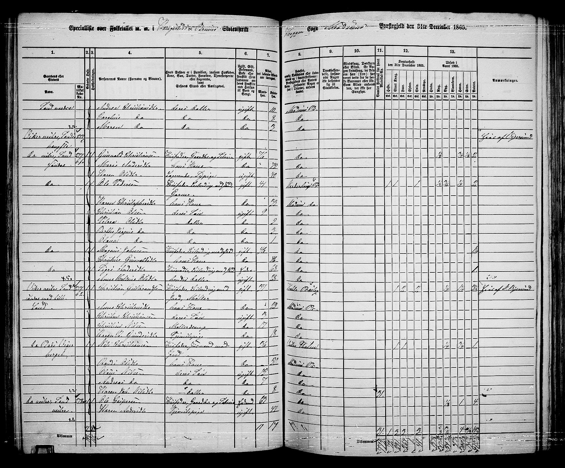 RA, 1865 census for Modum, 1865, p. 164