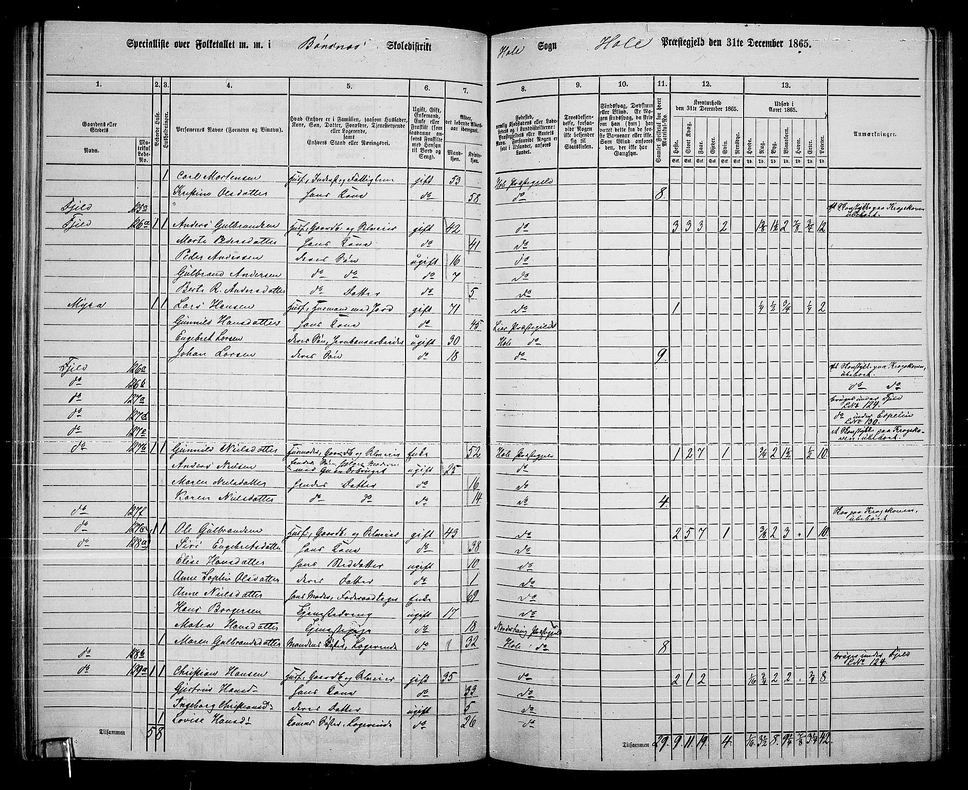 RA, 1865 census for Hole, 1865, p. 92