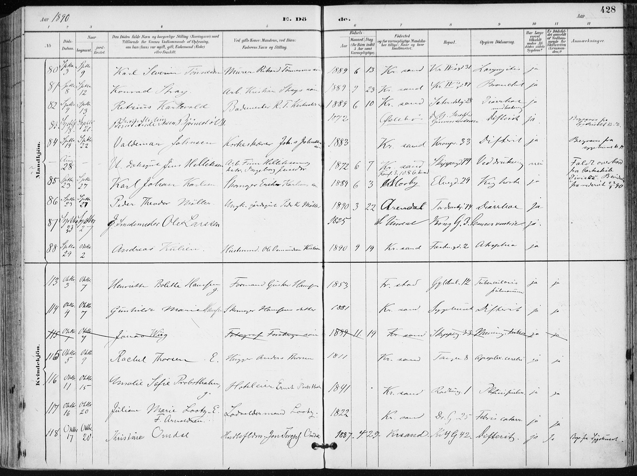 Kristiansand domprosti, AV/SAK-1112-0006/F/Fa/L0019: Parish register (official) no. A 18, 1890-1897, p. 428