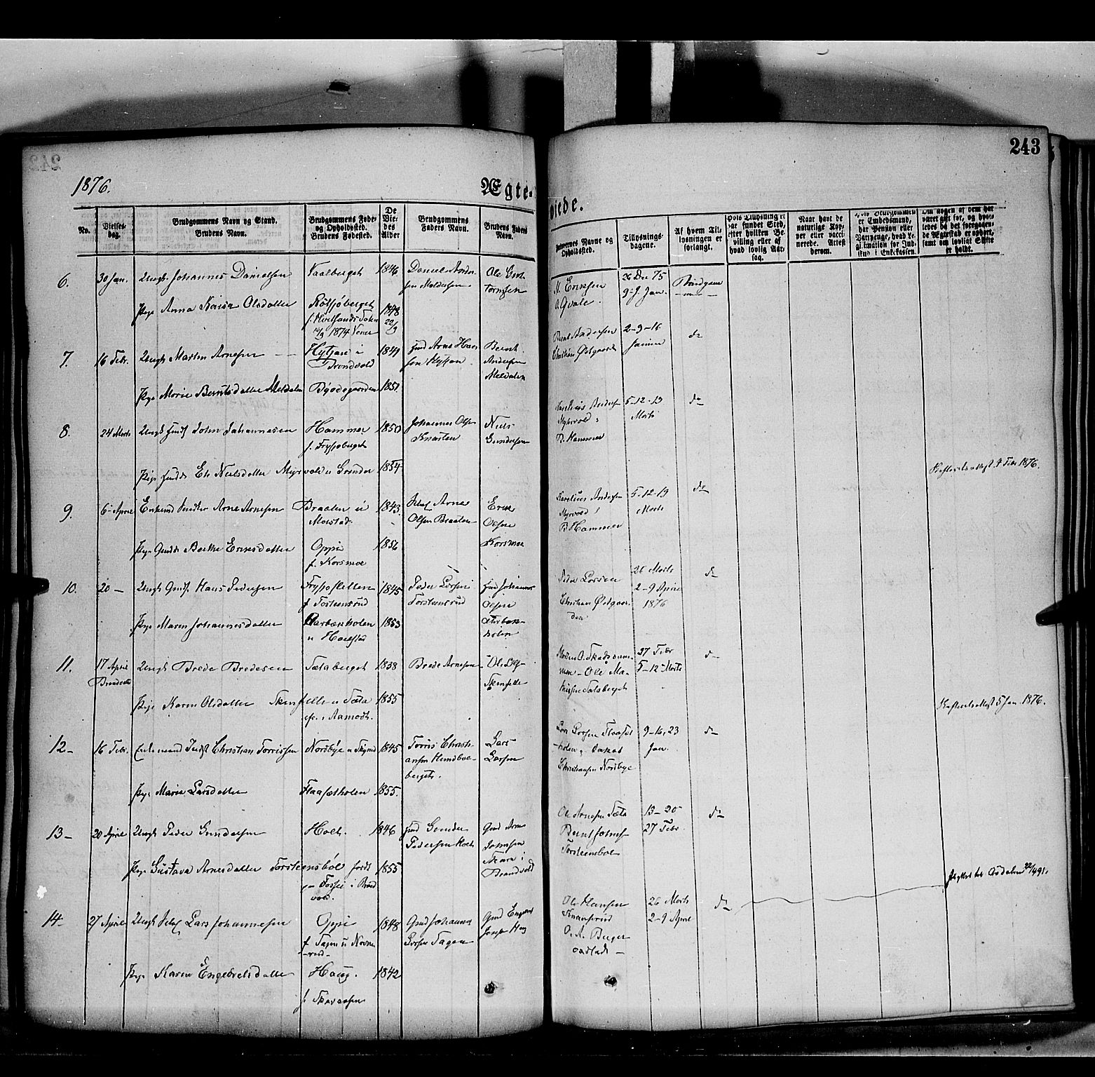 Grue prestekontor, SAH/PREST-036/H/Ha/Haa/L0011: Parish register (official) no. 11, 1873-1880, p. 243