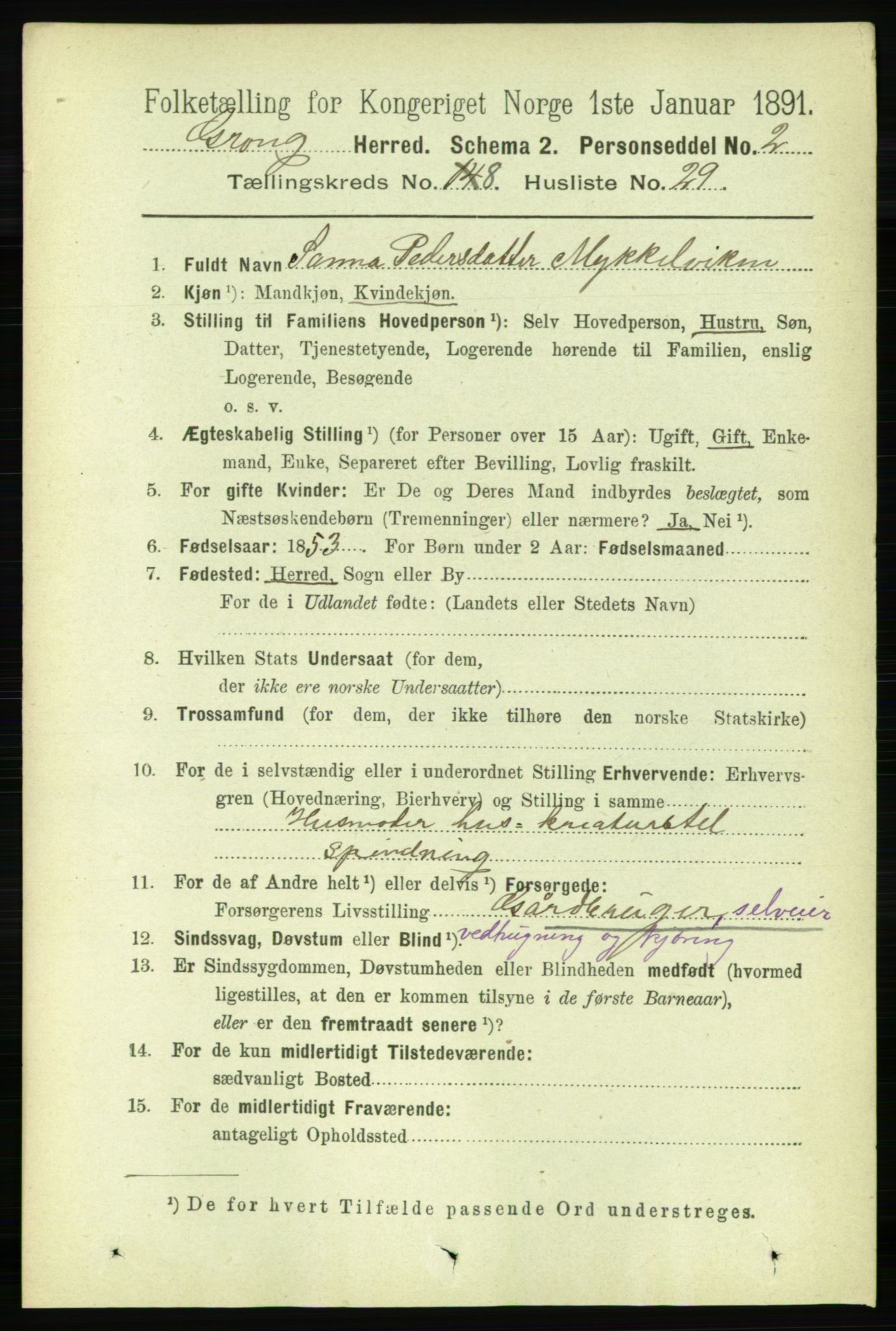 RA, 1891 census for 1742 Grong, 1891, p. 3050