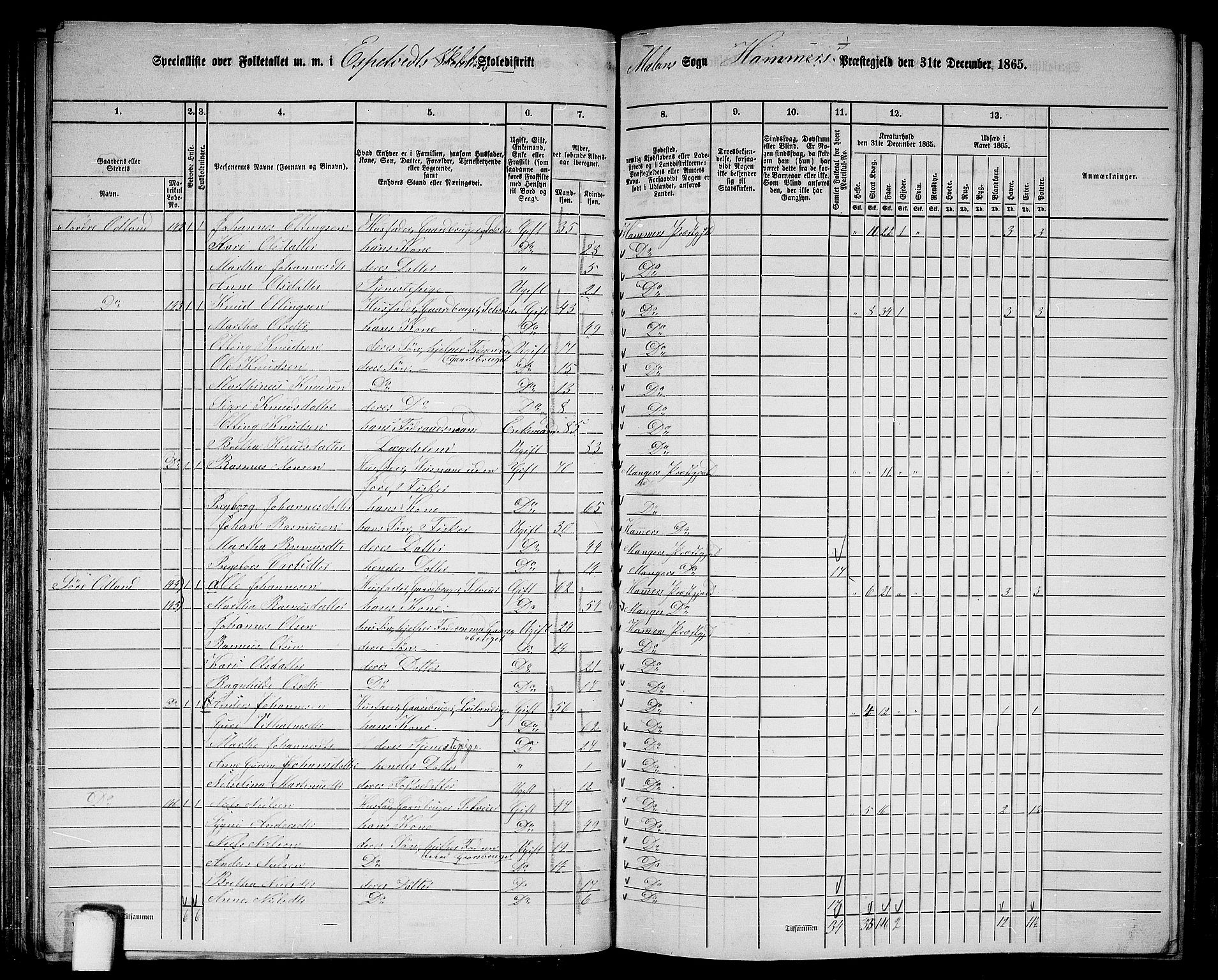 RA, 1865 census for Hamre, 1865, p. 66