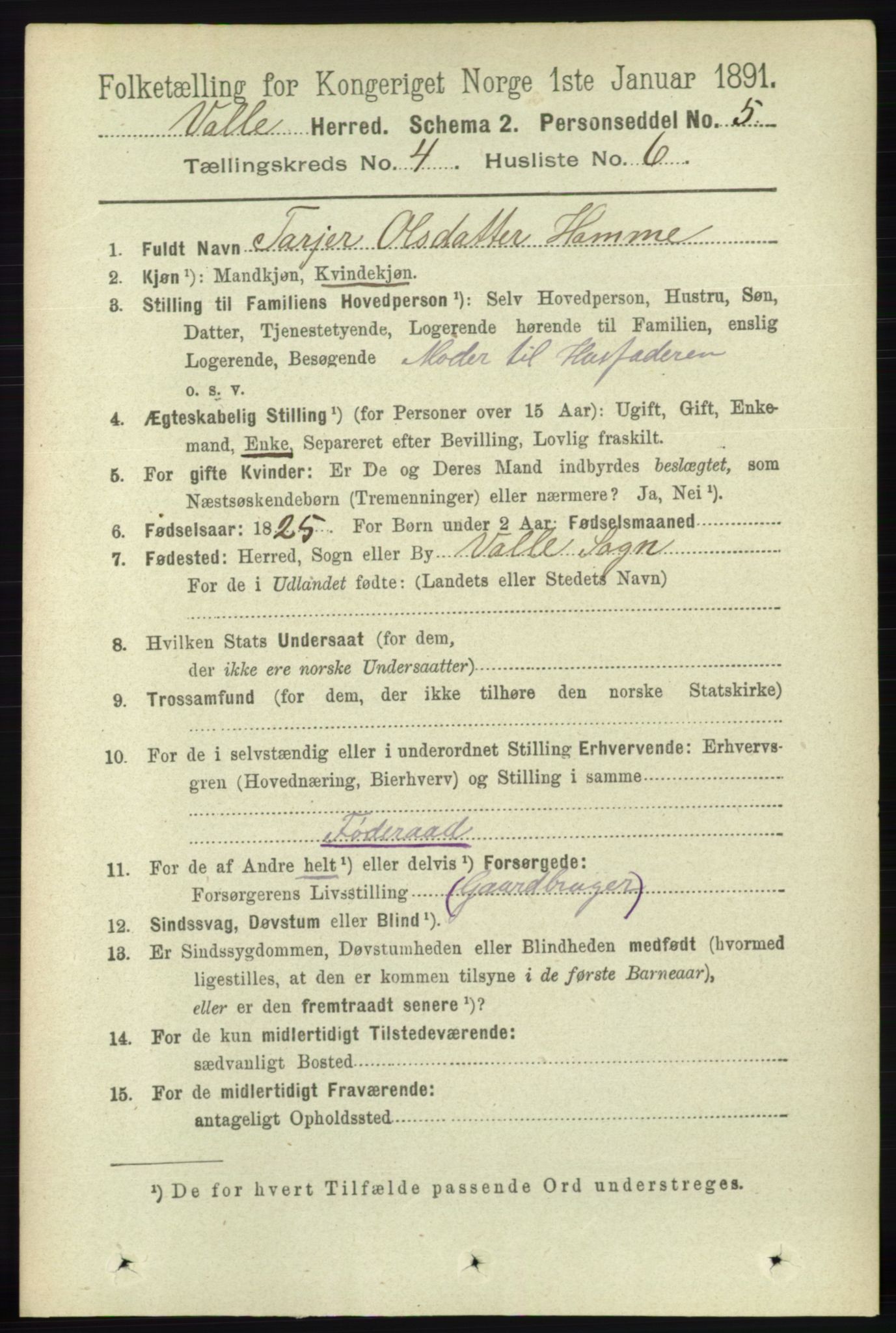 RA, 1891 census for 0940 Valle, 1891, p. 1024