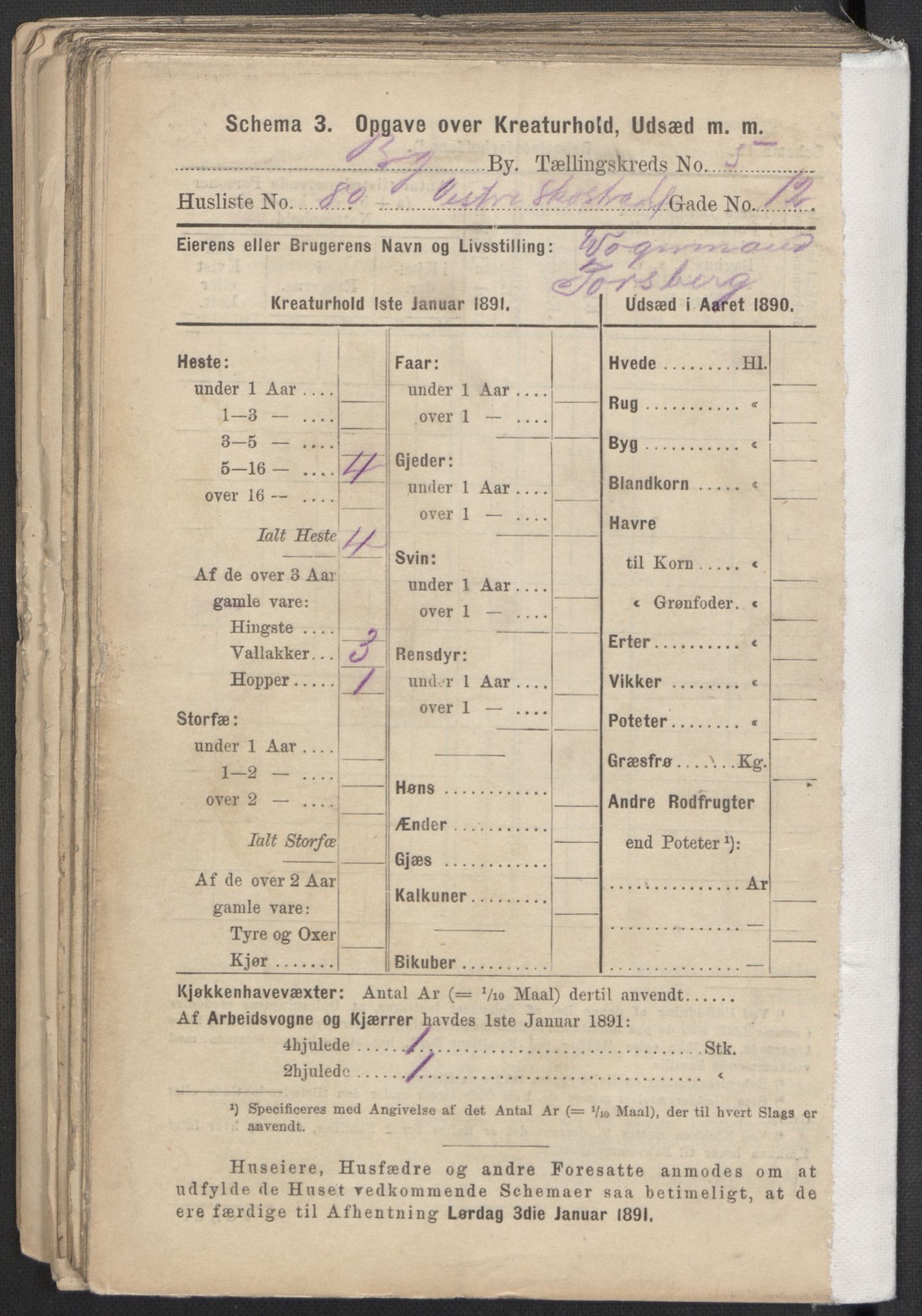 RA, 1891 Census for 1301 Bergen, 1891, p. 1006