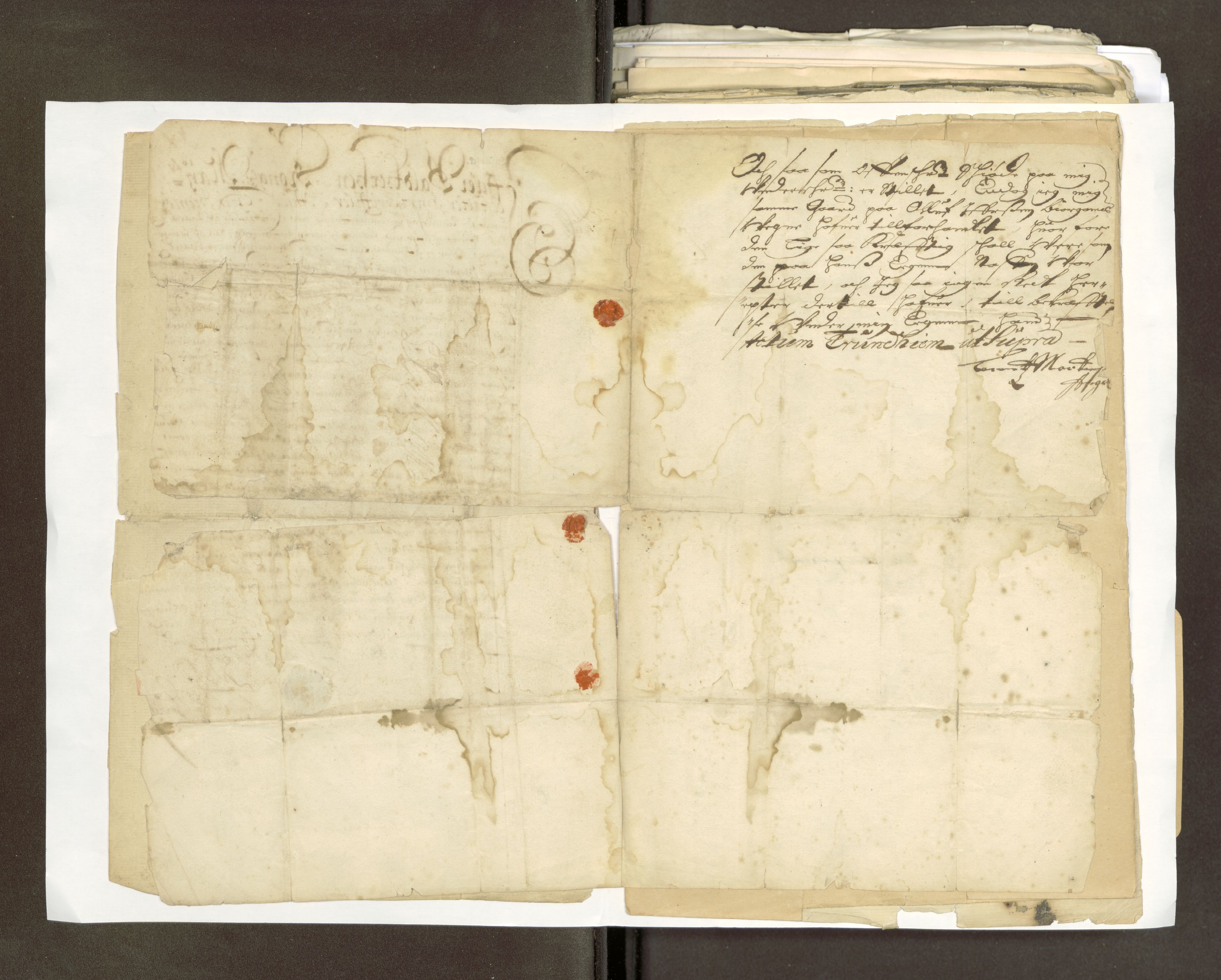 Røros kobberverk, AV/SAT-PA-0211/1/16/16D/L0001: Holtålens kirker og sammes gods, 1768-1902, p. 8