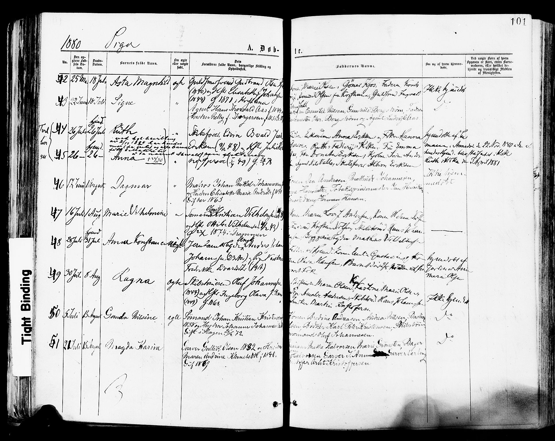 Tønsberg kirkebøker, AV/SAKO-A-330/F/Fa/L0010: Parish register (official) no. I 10, 1874-1880, p. 101