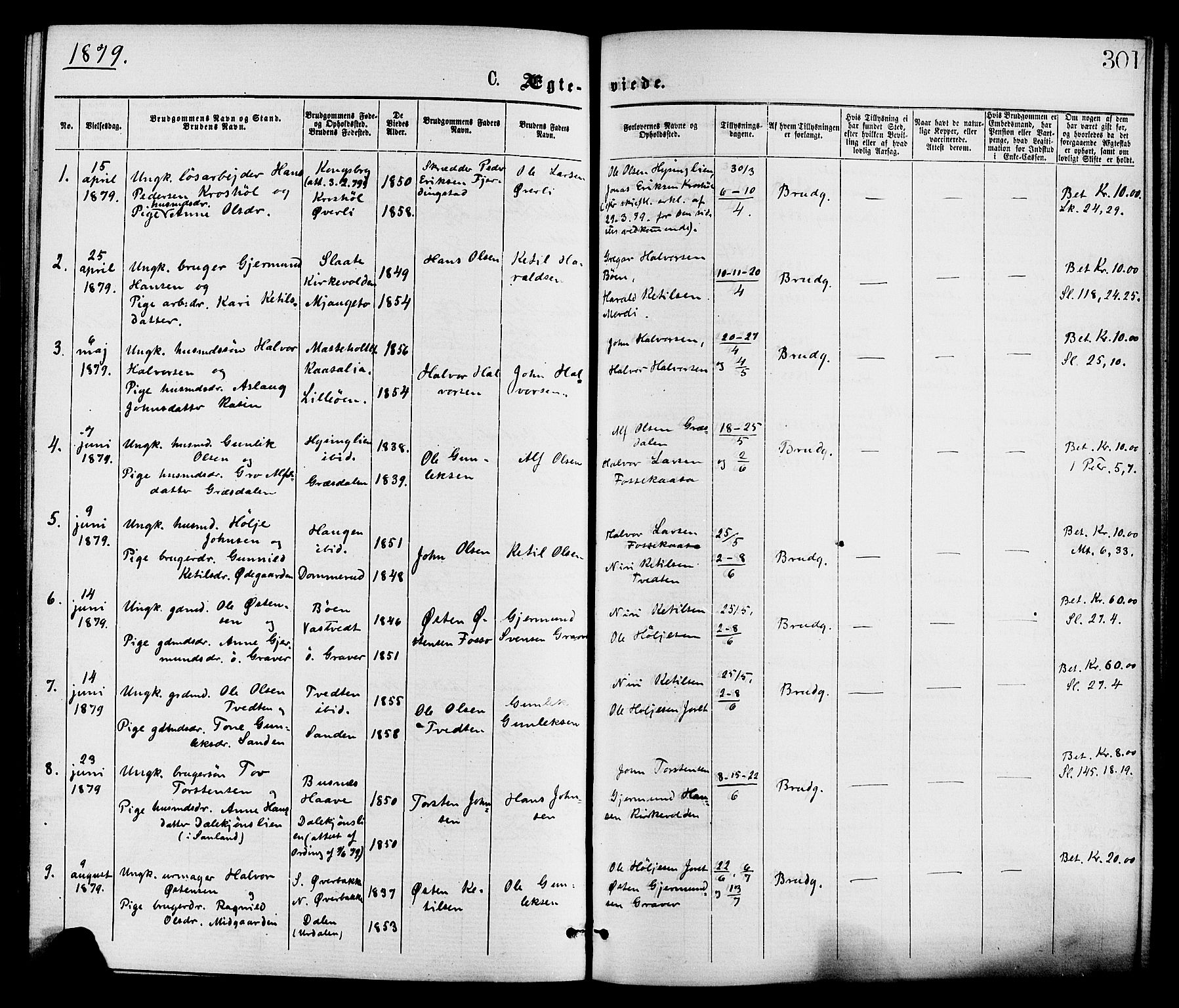 Gransherad kirkebøker, AV/SAKO-A-267/F/Fa/L0004: Parish register (official) no. I 4, 1871-1886, p. 301