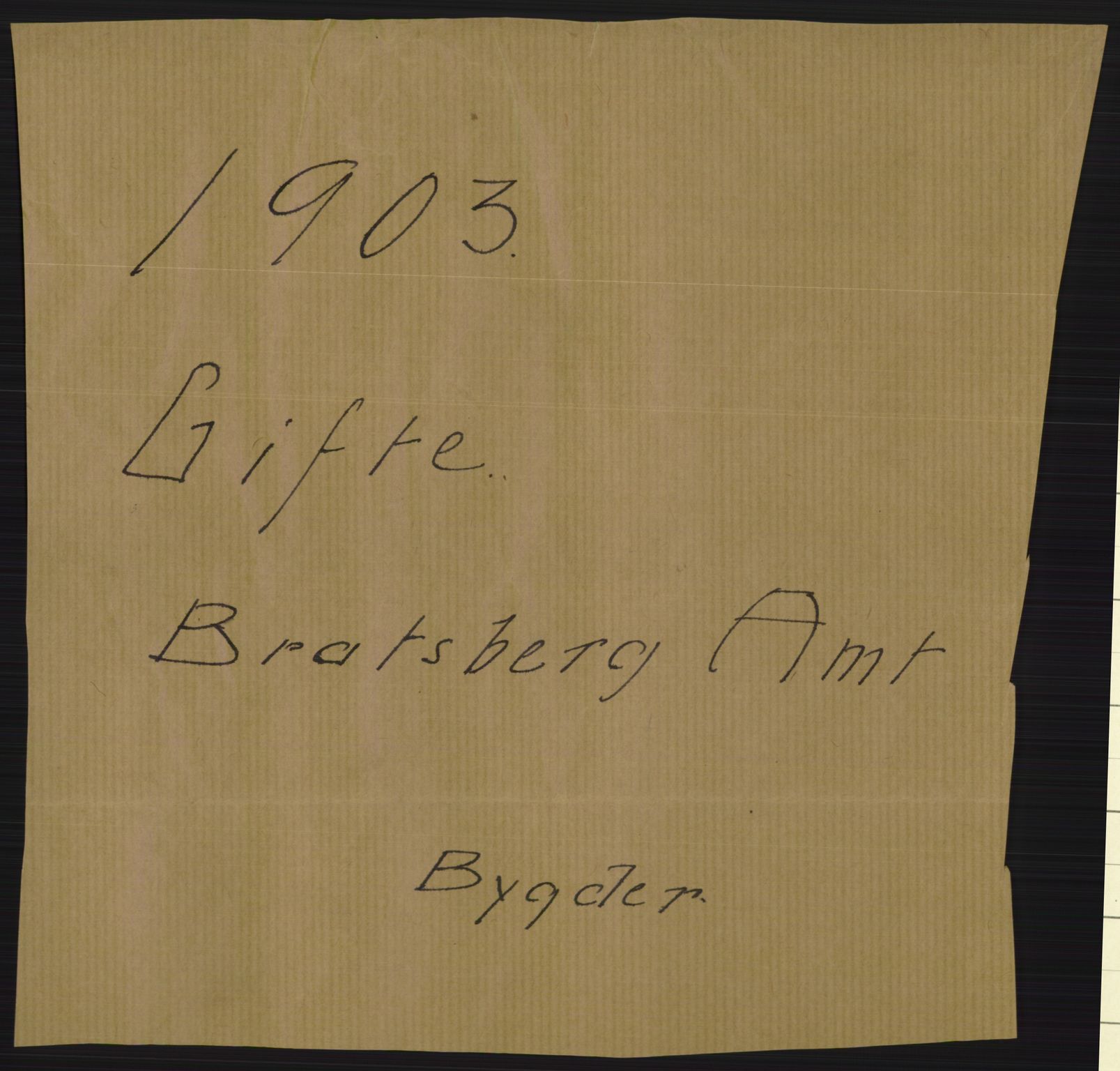 Statistisk sentralbyrå, Sosiodemografiske emner, Befolkning, AV/RA-S-2228/D/Df/Dfa/Dfaa/L0009: Bratsberg amt: Fødte, gifte, døde, 1903, p. 353