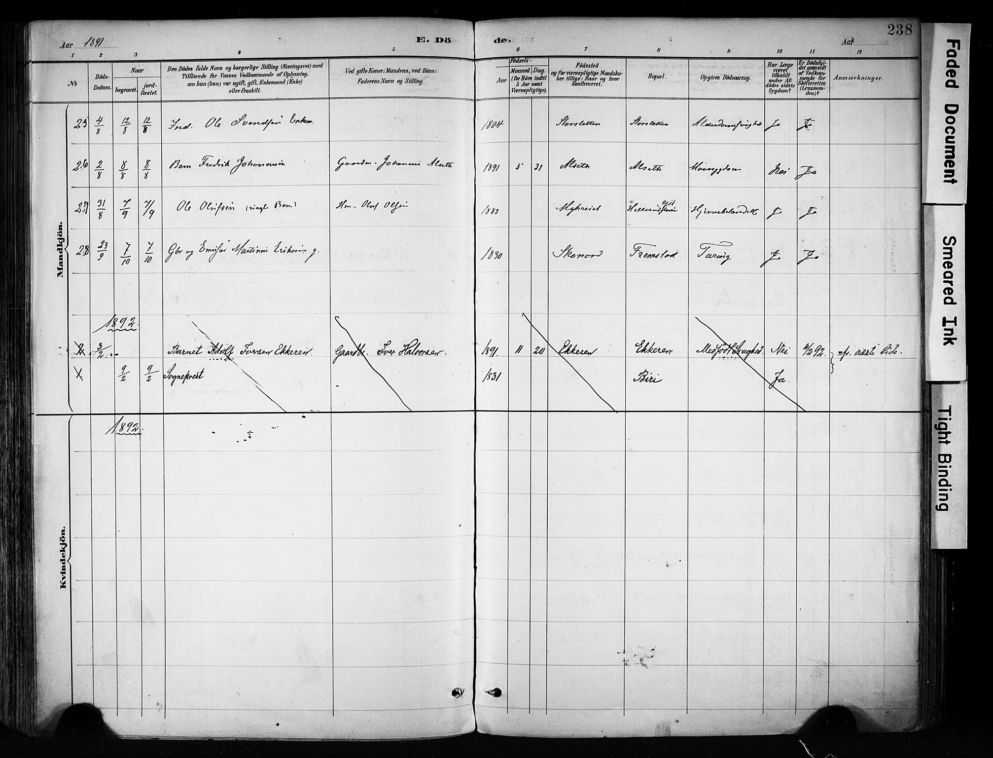 Biri prestekontor, AV/SAH-PREST-096/H/Ha/Haa/L0009: Parish register (official) no. 9, 1887-1900, p. 238