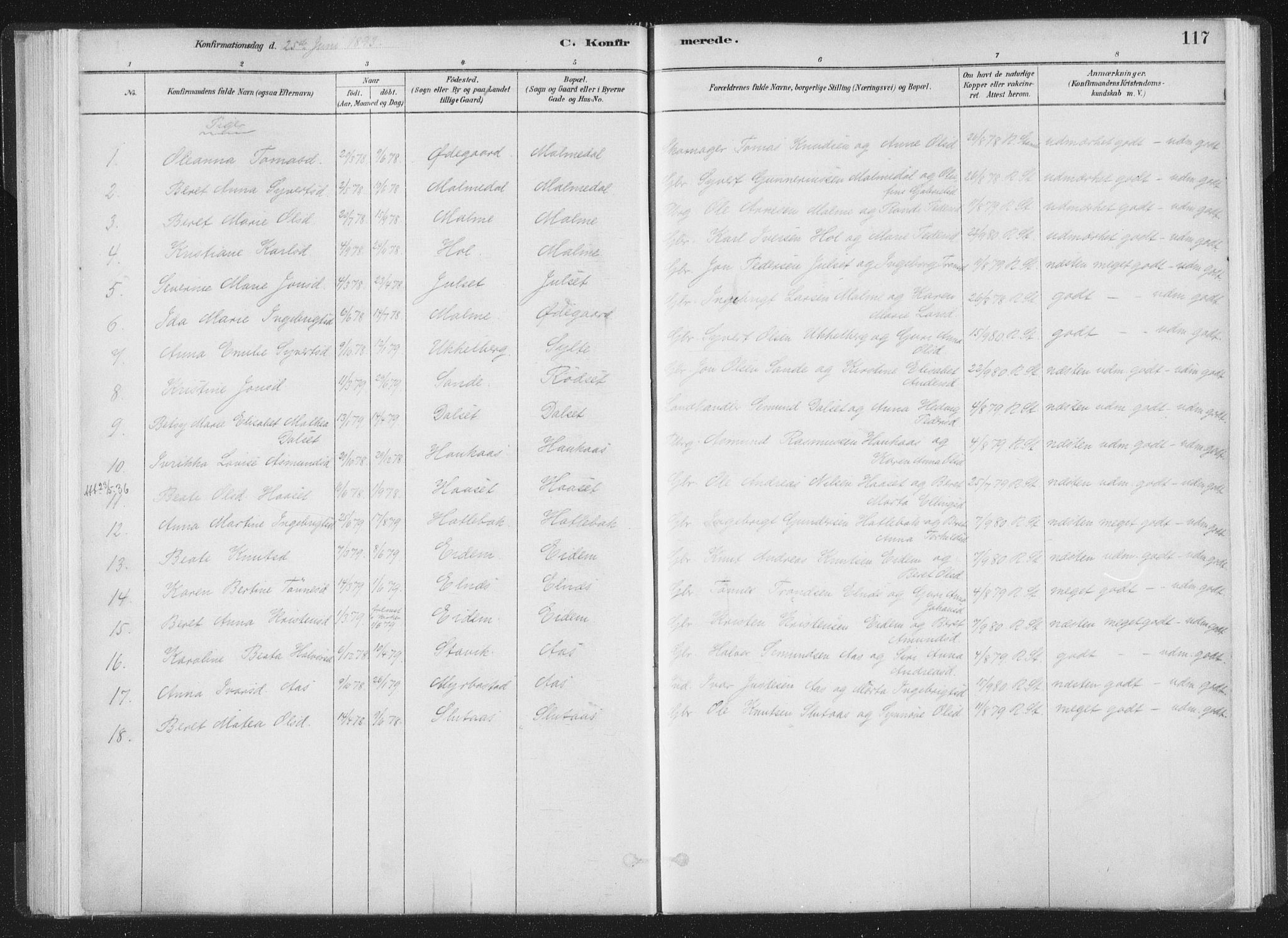 Ministerialprotokoller, klokkerbøker og fødselsregistre - Møre og Romsdal, AV/SAT-A-1454/564/L0740: Parish register (official) no. 564A01, 1880-1899, p. 117