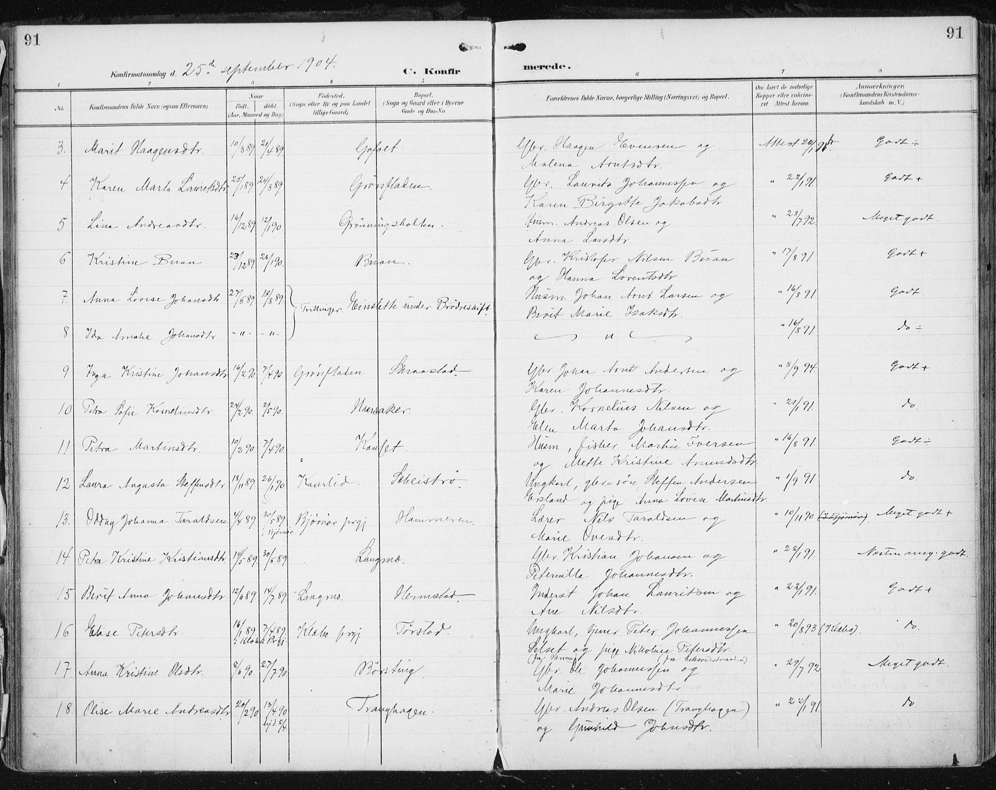 Ministerialprotokoller, klokkerbøker og fødselsregistre - Sør-Trøndelag, AV/SAT-A-1456/646/L0616: Parish register (official) no. 646A14, 1900-1918, p. 91