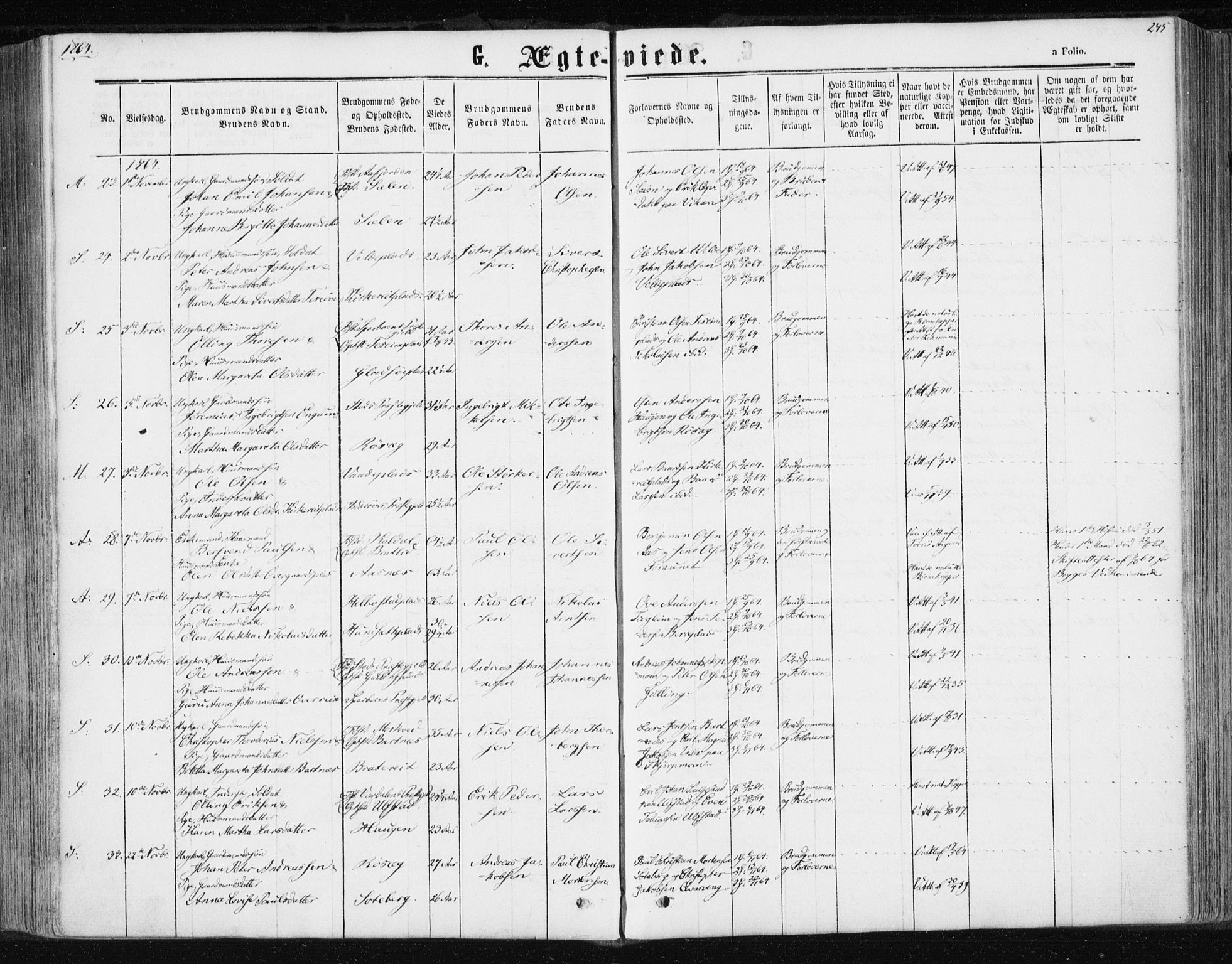 Ministerialprotokoller, klokkerbøker og fødselsregistre - Nord-Trøndelag, SAT/A-1458/741/L0394: Parish register (official) no. 741A08, 1864-1877, p. 245