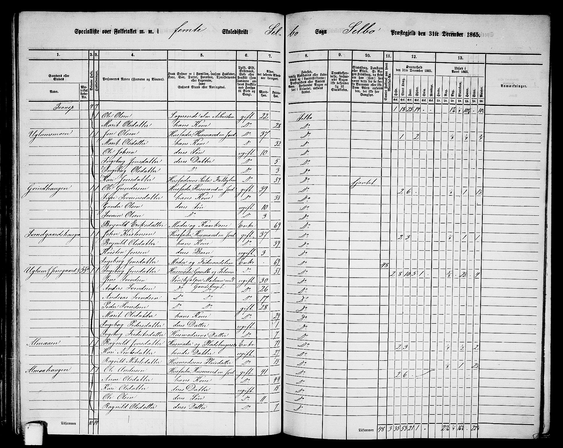 RA, 1865 census for Selbu, 1865, p. 67