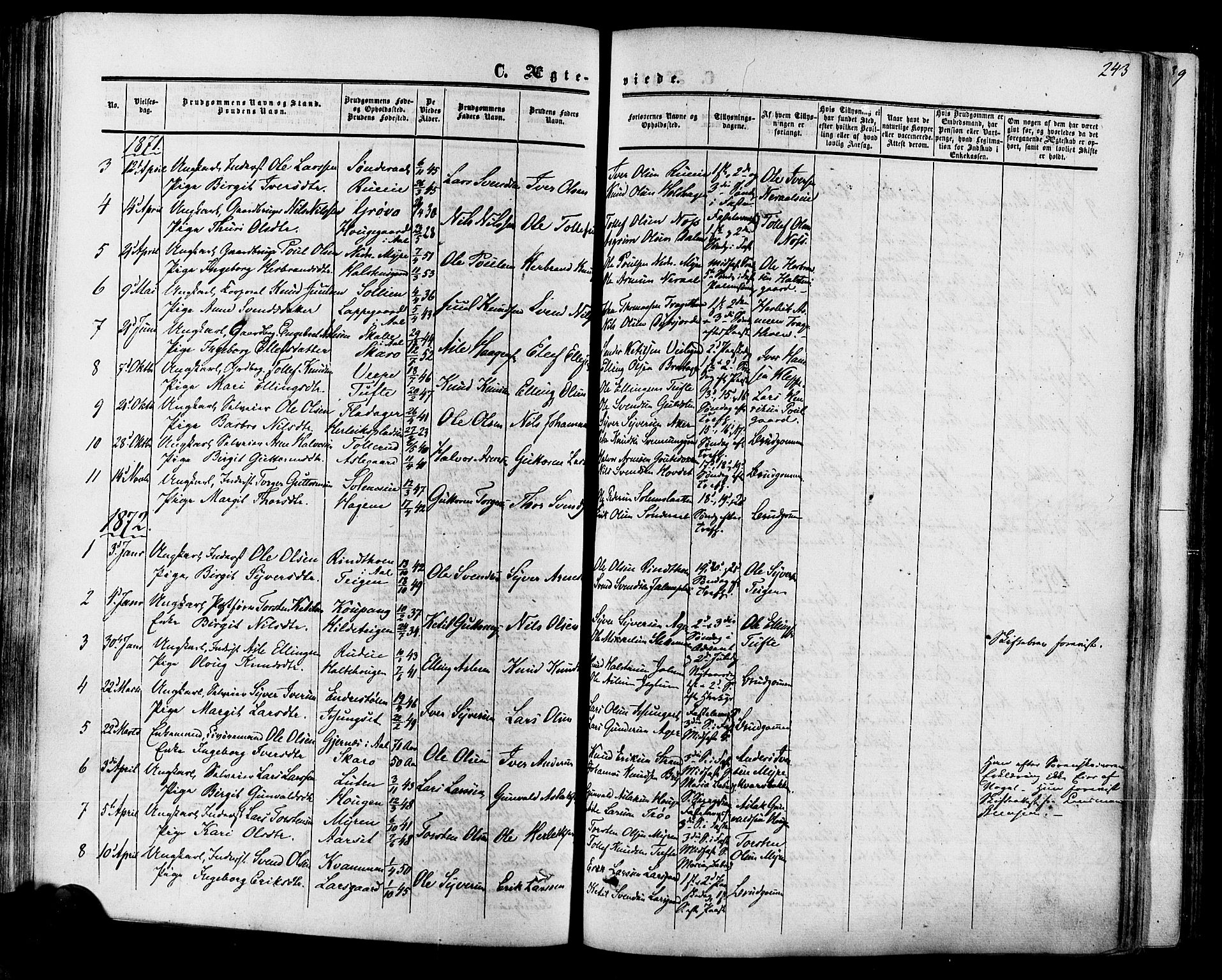 Hol kirkebøker, SAKO/A-227/F/Fa/L0002: Parish register (official) no. I 2, 1870-1886, p. 243
