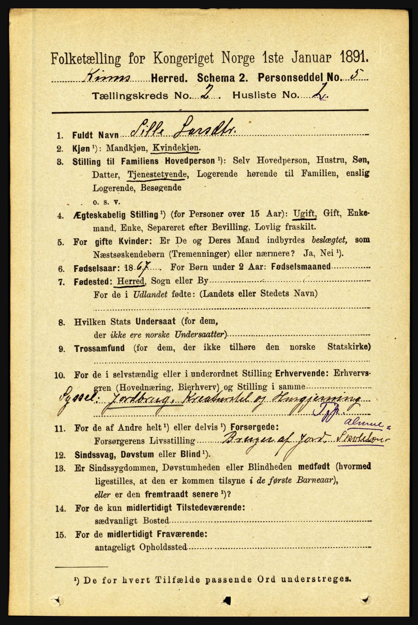 RA, 1891 census for 1437 Kinn, 1891, p. 545