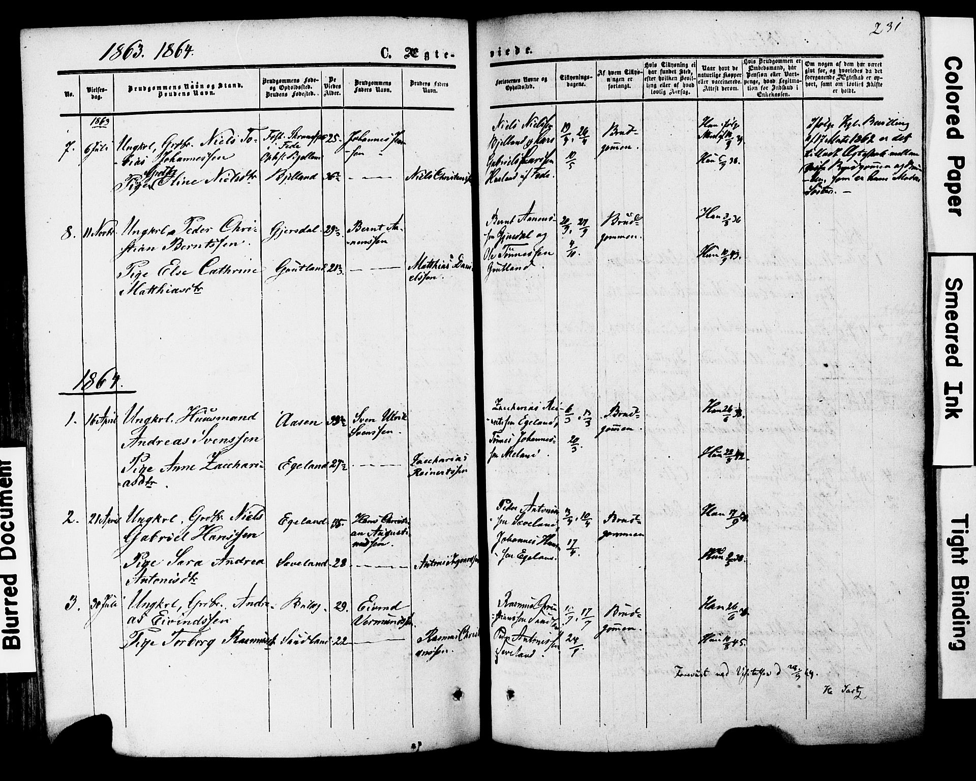 Herad sokneprestkontor, AV/SAK-1111-0018/F/Fa/Faa/L0005: Parish register (official) no. A 5, 1853-1886, p. 231