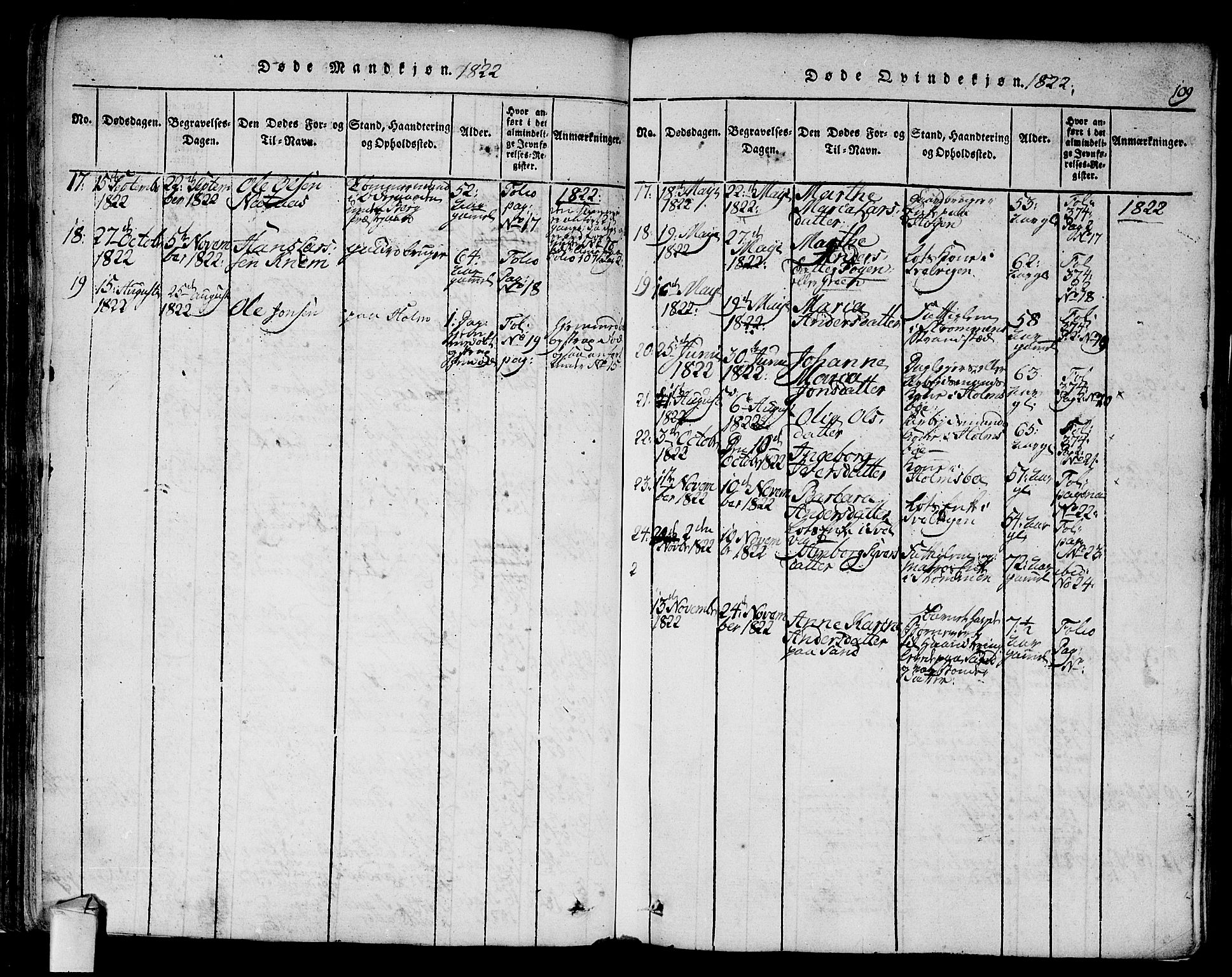 Hurum kirkebøker, AV/SAKO-A-229/F/Fa/L0009: Parish register (official) no. 9, 1816-1826, p. 109