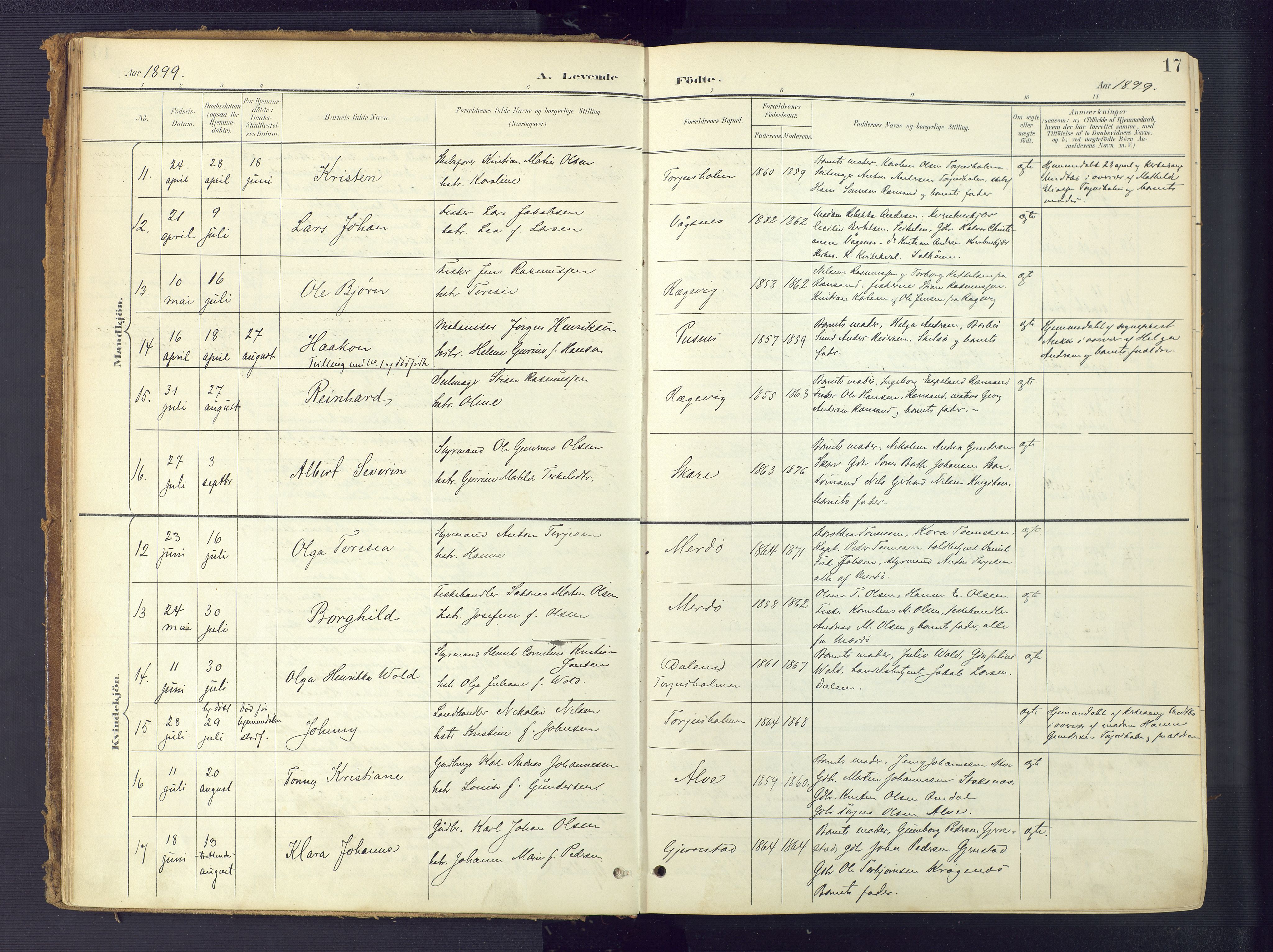 Tromøy sokneprestkontor, AV/SAK-1111-0041/F/Fa/L0010: Parish register (official) no. A 10, 1896-1912, p. 17