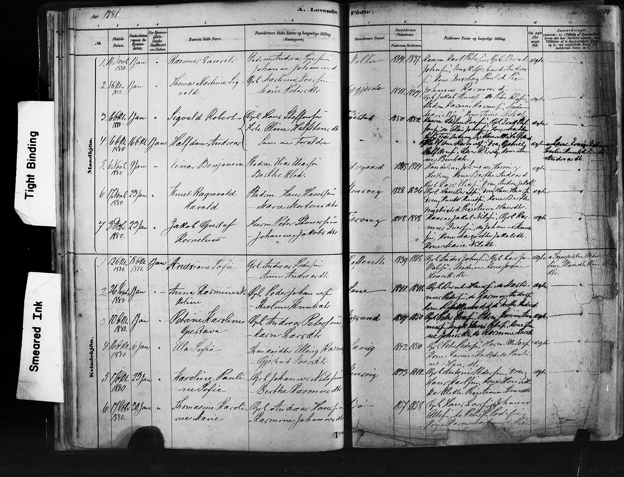 Ministerialprotokoller, klokkerbøker og fødselsregistre - Møre og Romsdal, SAT/A-1454/507/L0073: Parish register (official) no. 507A08, 1878-1904, p. 19