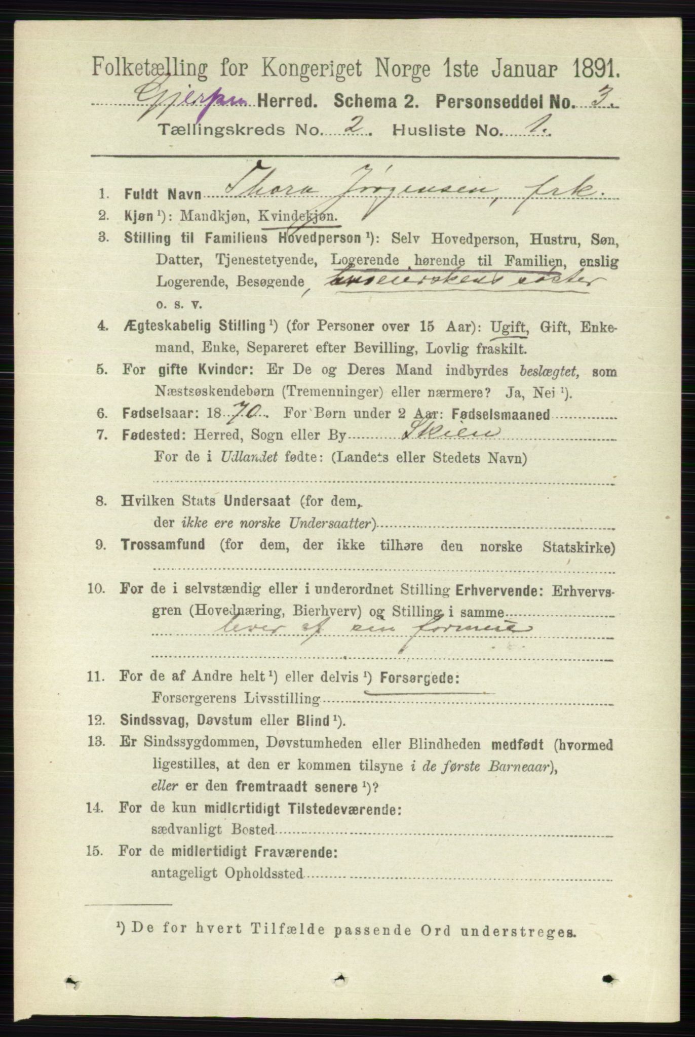 RA, 1891 census for 0812 Gjerpen, 1891, p. 739