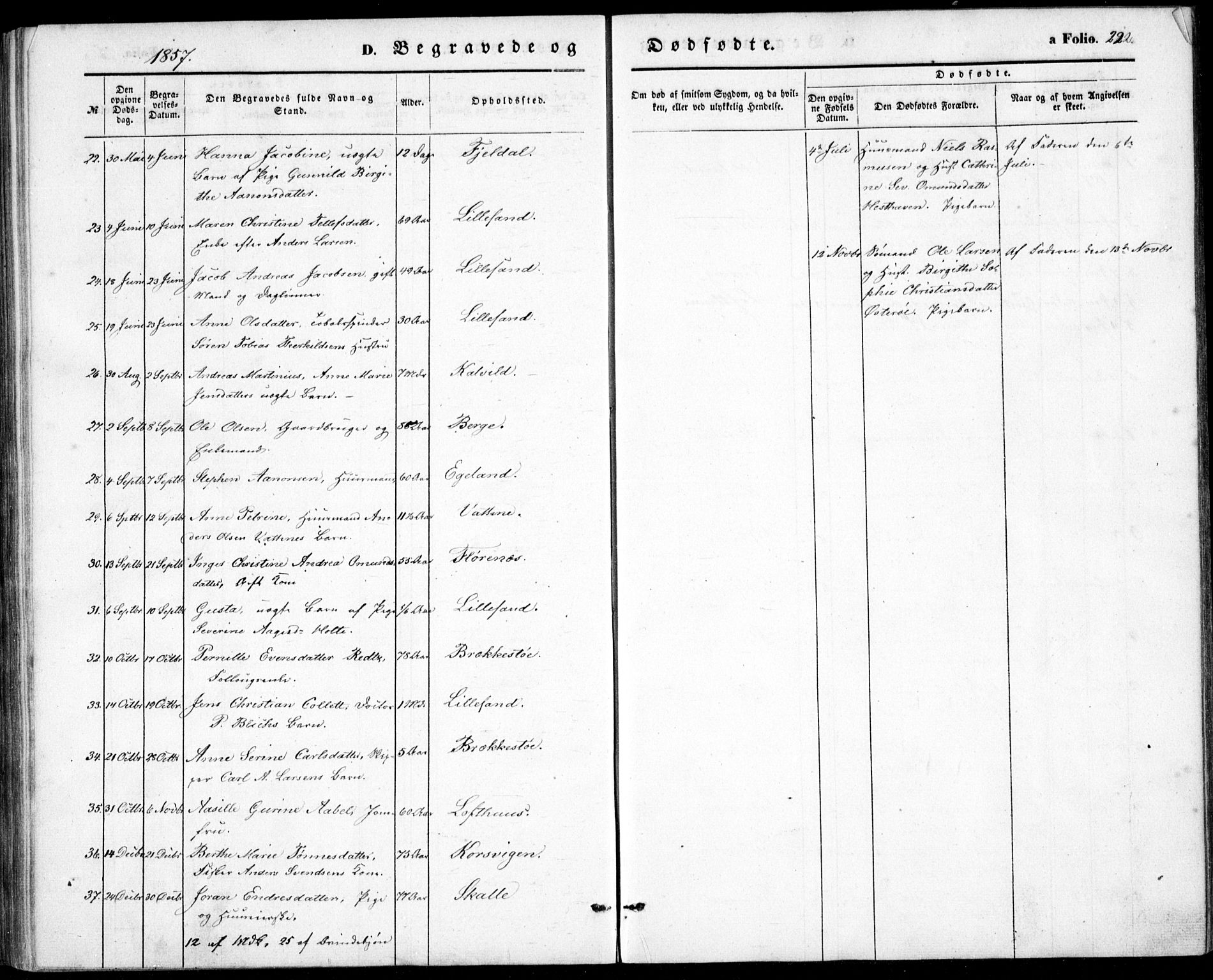 Vestre Moland sokneprestkontor, SAK/1111-0046/F/Fb/Fbb/L0003: Parish register (copy) no. B 3, 1851-1861, p. 222