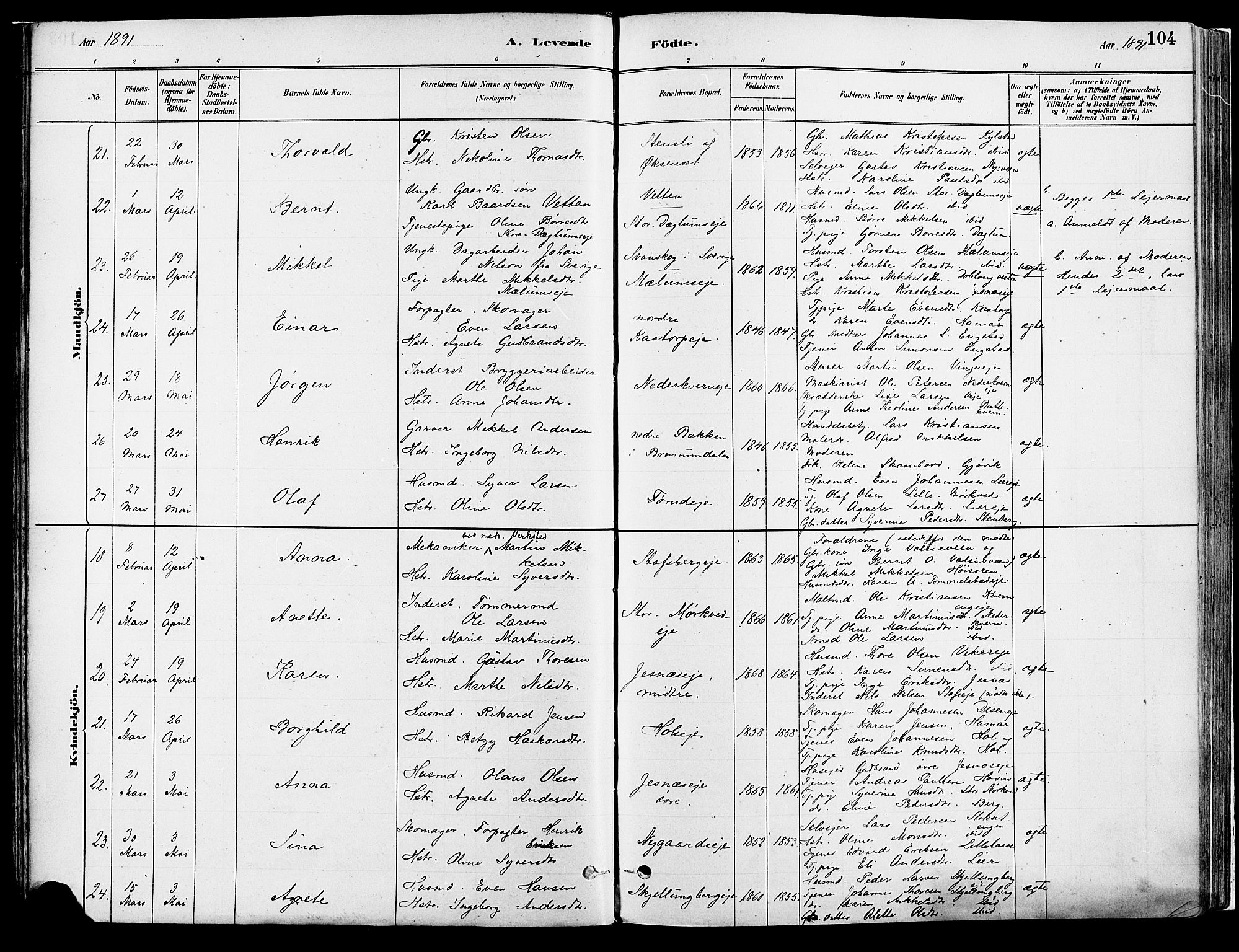 Vang prestekontor, Hedmark, AV/SAH-PREST-008/H/Ha/Haa/L0018A: Parish register (official) no. 18A, 1880-1906, p. 104