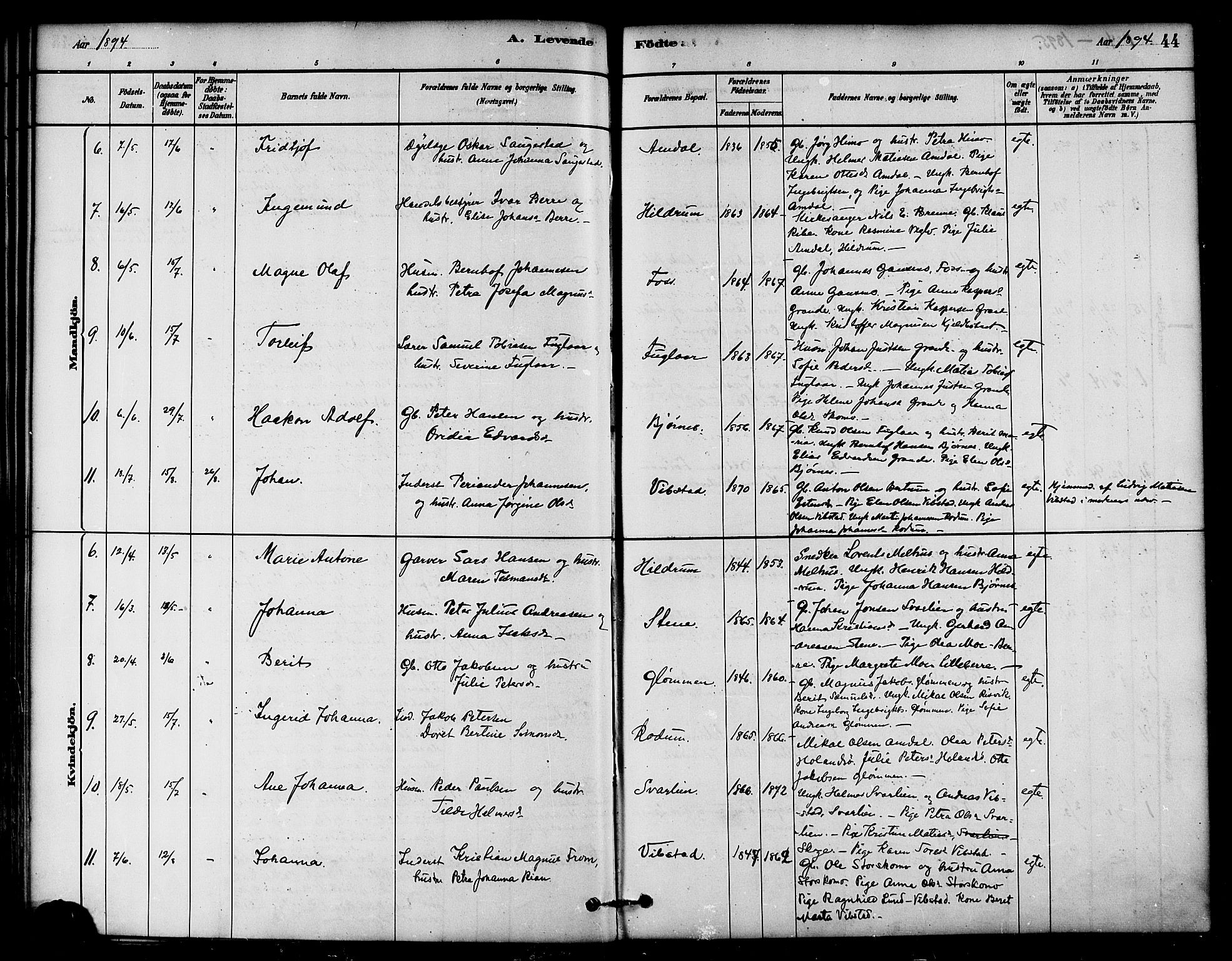 Ministerialprotokoller, klokkerbøker og fødselsregistre - Nord-Trøndelag, SAT/A-1458/764/L0555: Parish register (official) no. 764A10, 1881-1896, p. 44