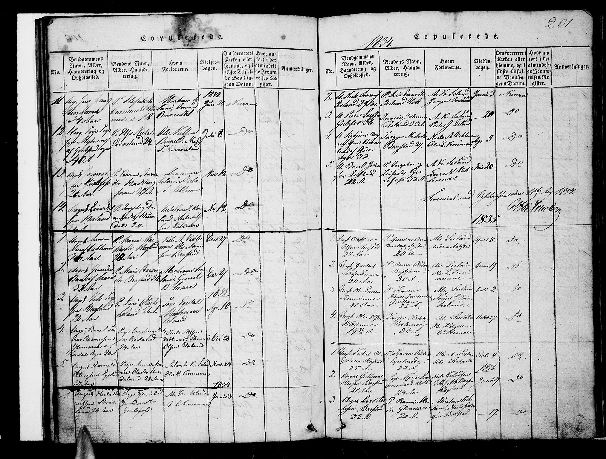 Nord-Audnedal sokneprestkontor, AV/SAK-1111-0032/F/Fb/Fba/L0001: Parish register (copy) no. B 1, 1815-1856, p. 201