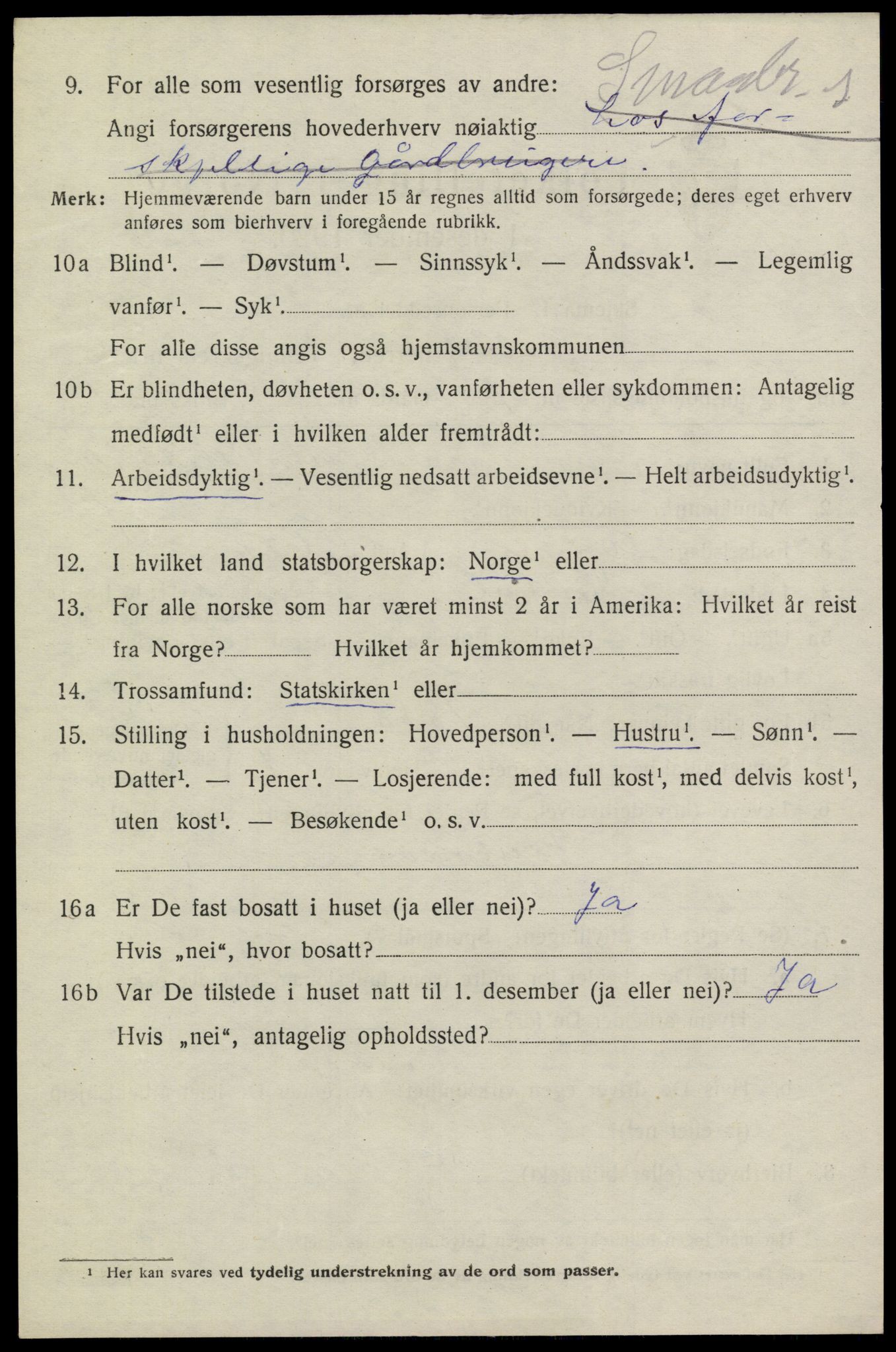 SAKO, 1920 census for Heddal, 1920, p. 5197