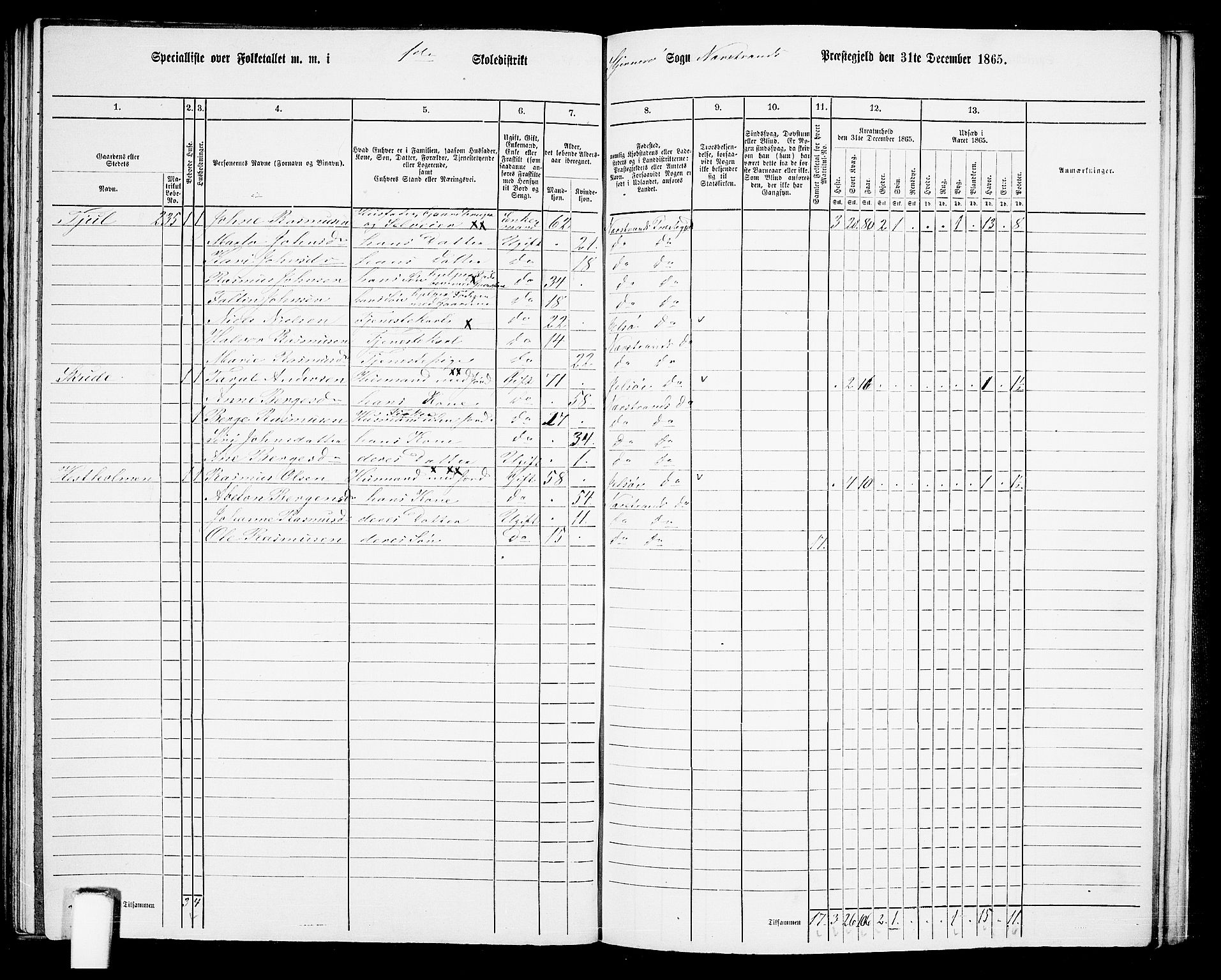 RA, 1865 census for Nedstrand, 1865, p. 92