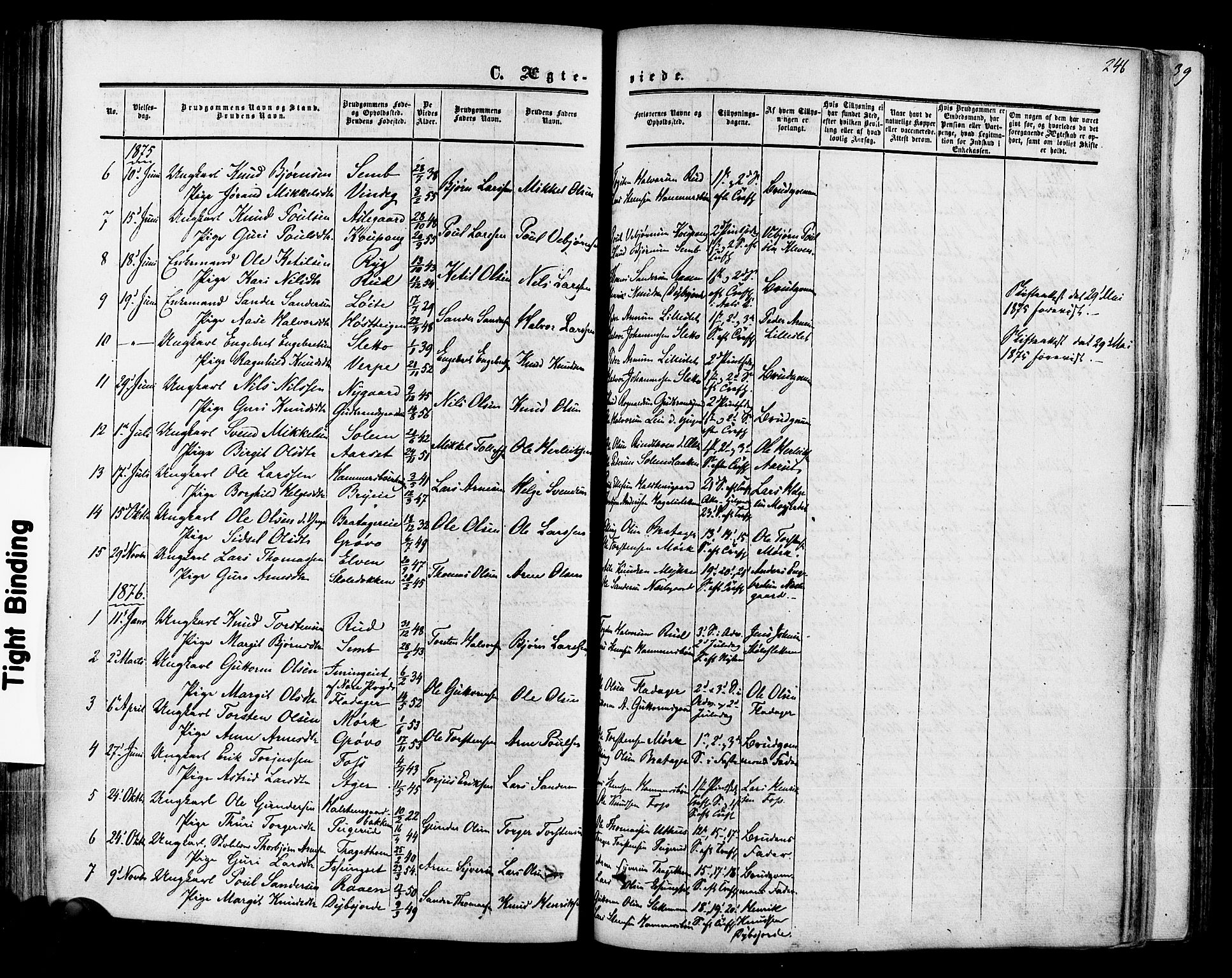 Hol kirkebøker, SAKO/A-227/F/Fa/L0002: Parish register (official) no. I 2, 1870-1886, p. 246